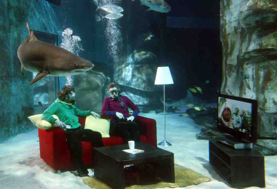 Sky Movies Premier promuove la prima proiezione in assoluto di "Lo Squalo" di Spielberg in HD al London Aquarium (Gareth J Davies/Getty Images)&nbsp;<br />