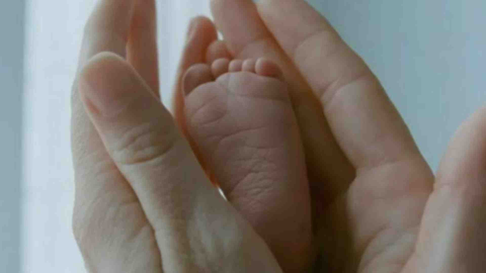 Immagine di Adriana Cavarero: «Maternità surrogata, oltraggio alla persona»