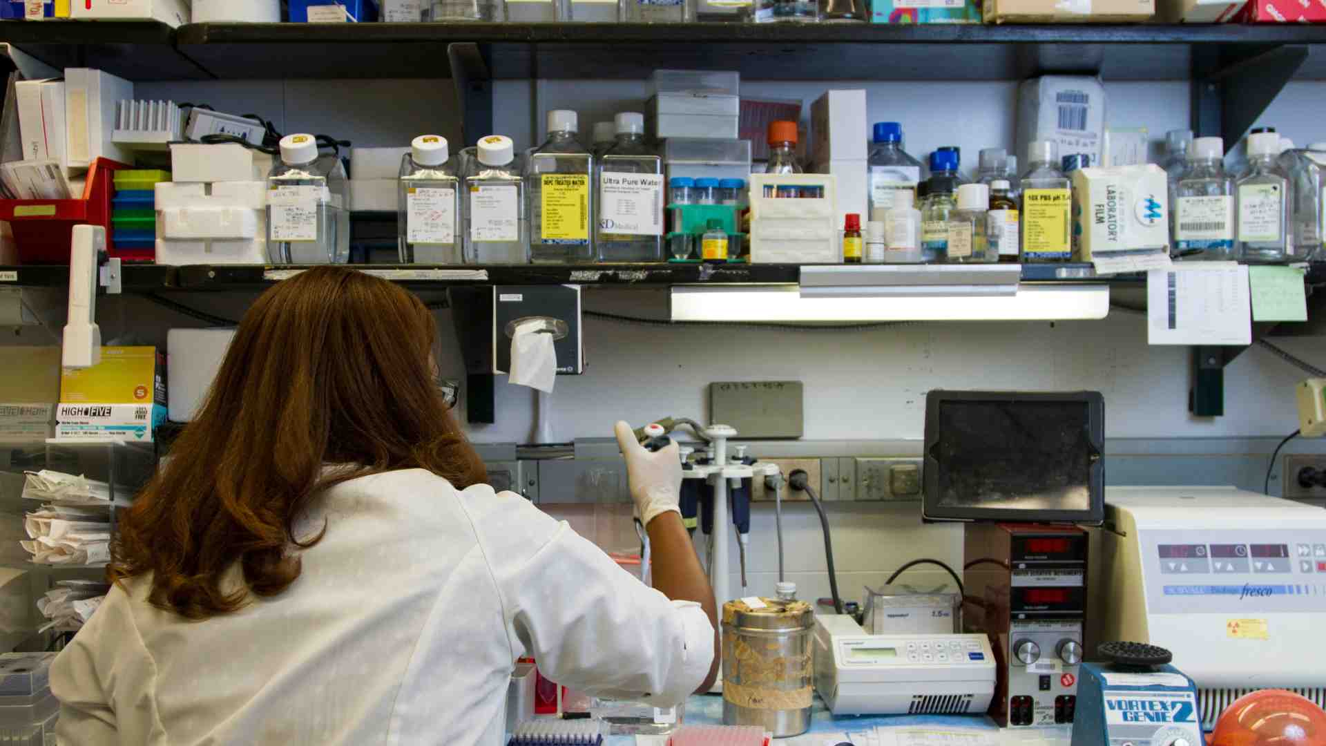 Immagine di È assurdo che la libertà della scienza venga difesa dall'autorità religiosa e non dalle istituzioni laiche