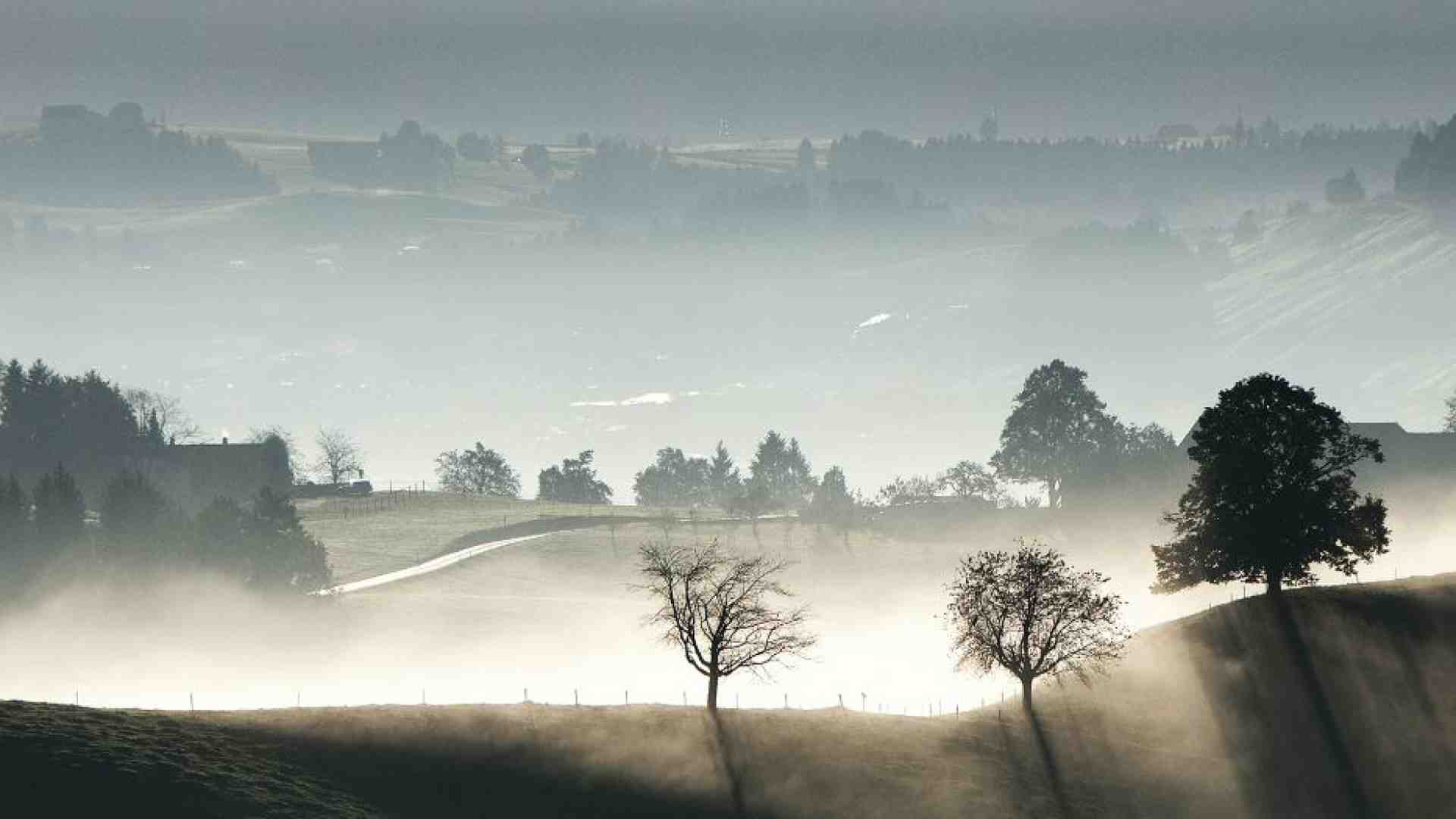 Immagine di Così gli alberi segnano il tempo e risvegliano la nostra immaginazione