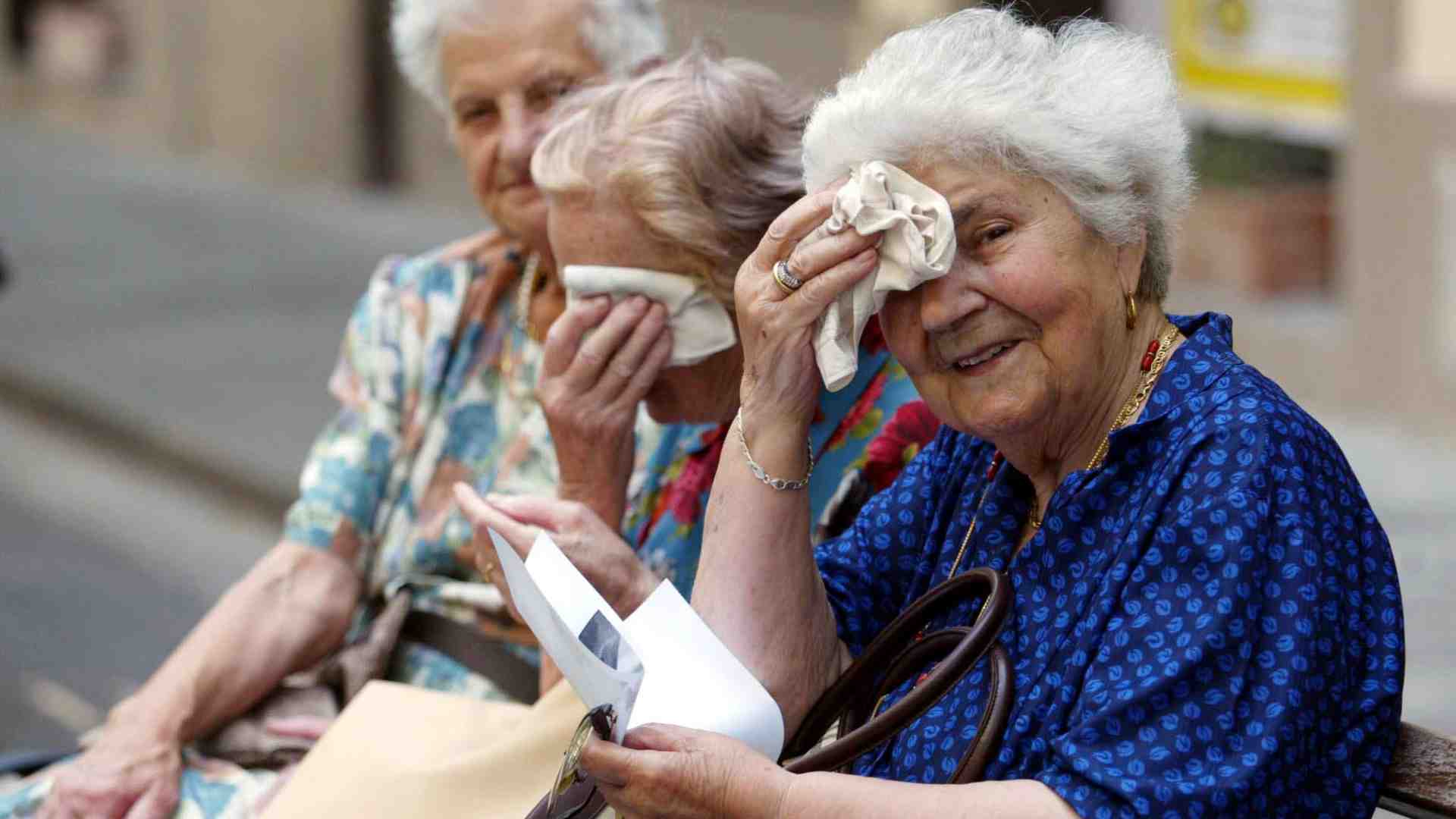 Immagine di La siesta come diritto civile: il caldo e la linea della palma di Sciascia