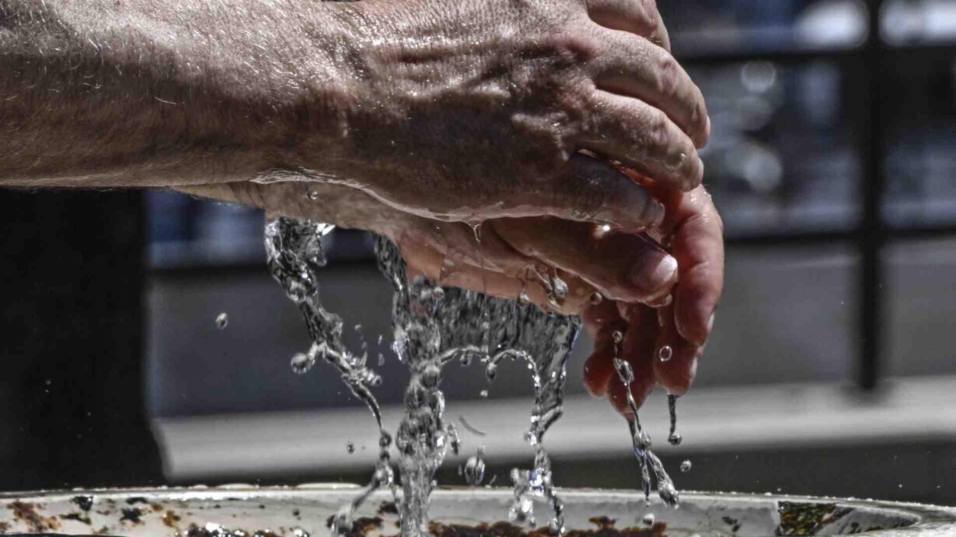 Immagine di Per adattarsi al gran caldo serve anche scommettere di più sul pil