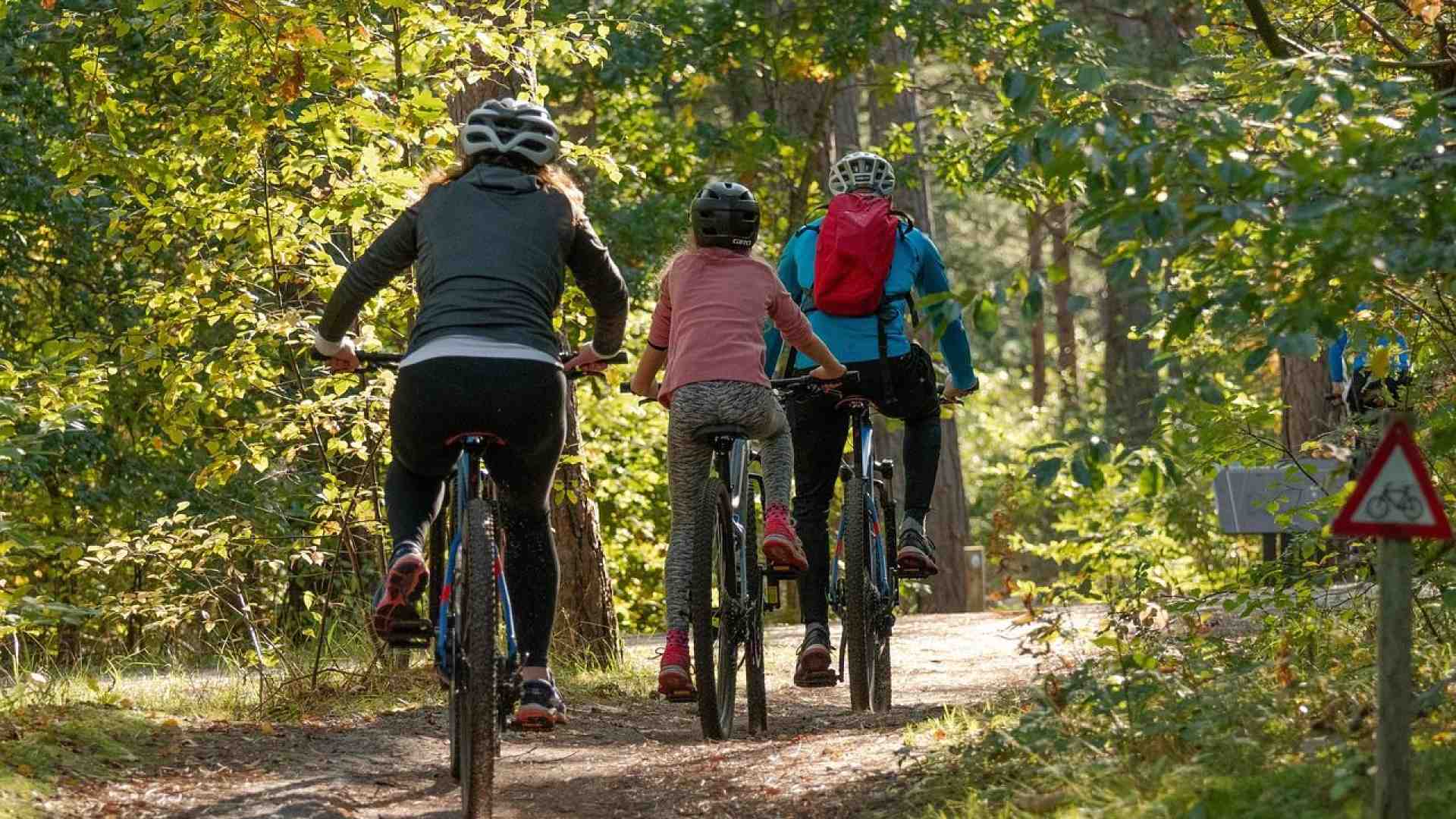 Immagine di Le biciclettate della pace: da Milano a Brindisi tutte le tappe
