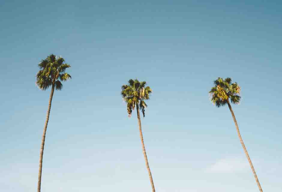 foto Unsplash