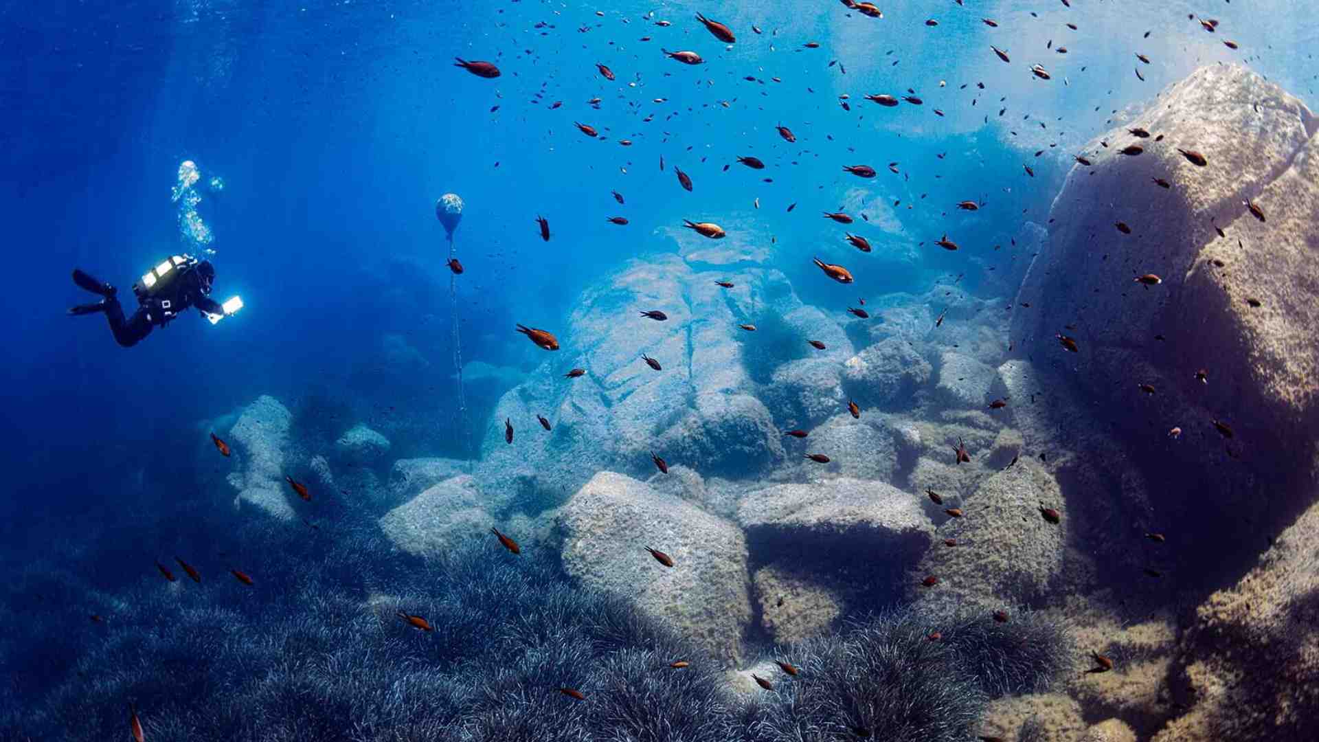 Immagine di L’Adriatico, mare della mutazione, visto da 38 autori