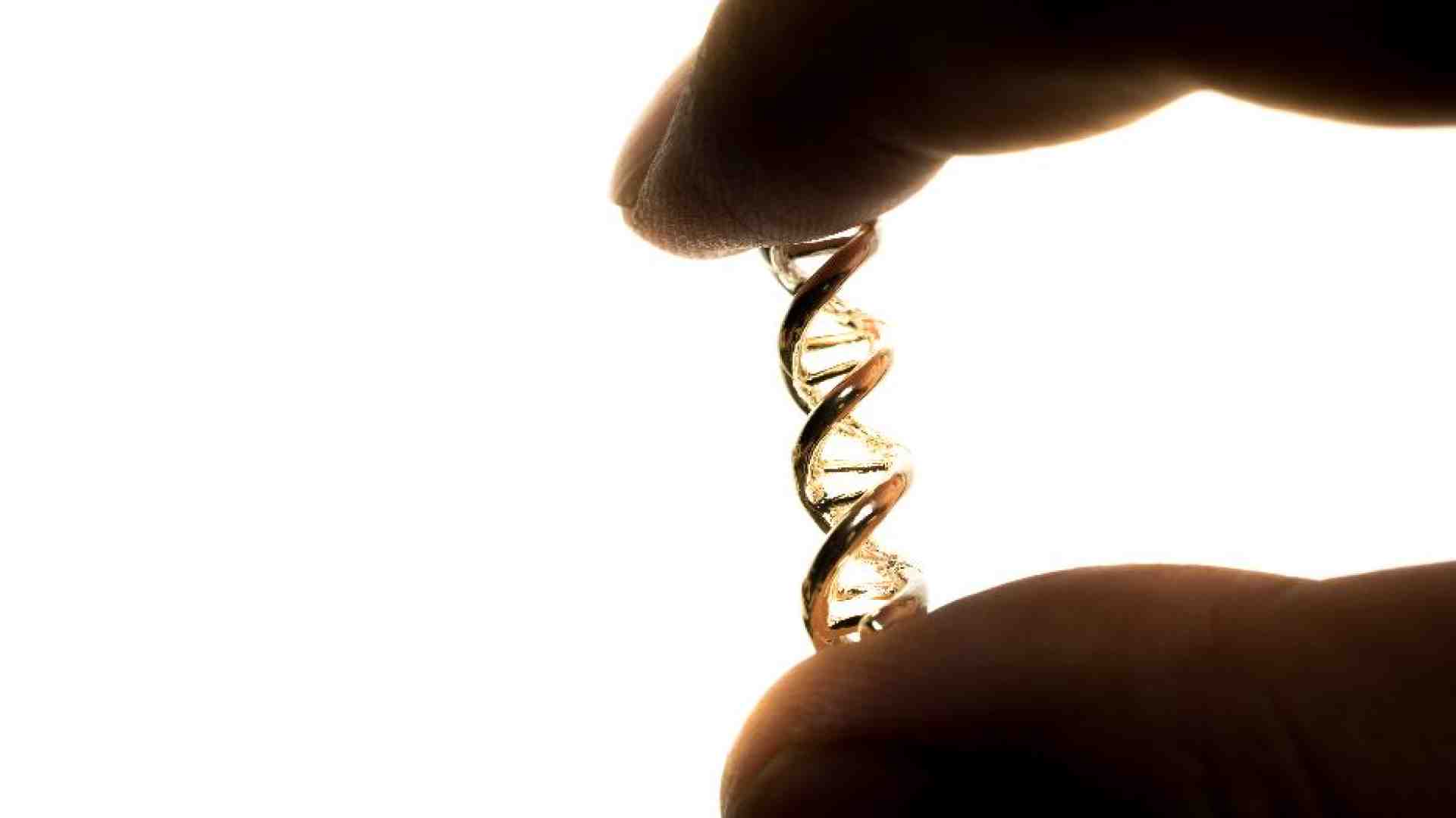 Immagine di Bioetica e teologia morale, dialogo sulle sfide dell’umano