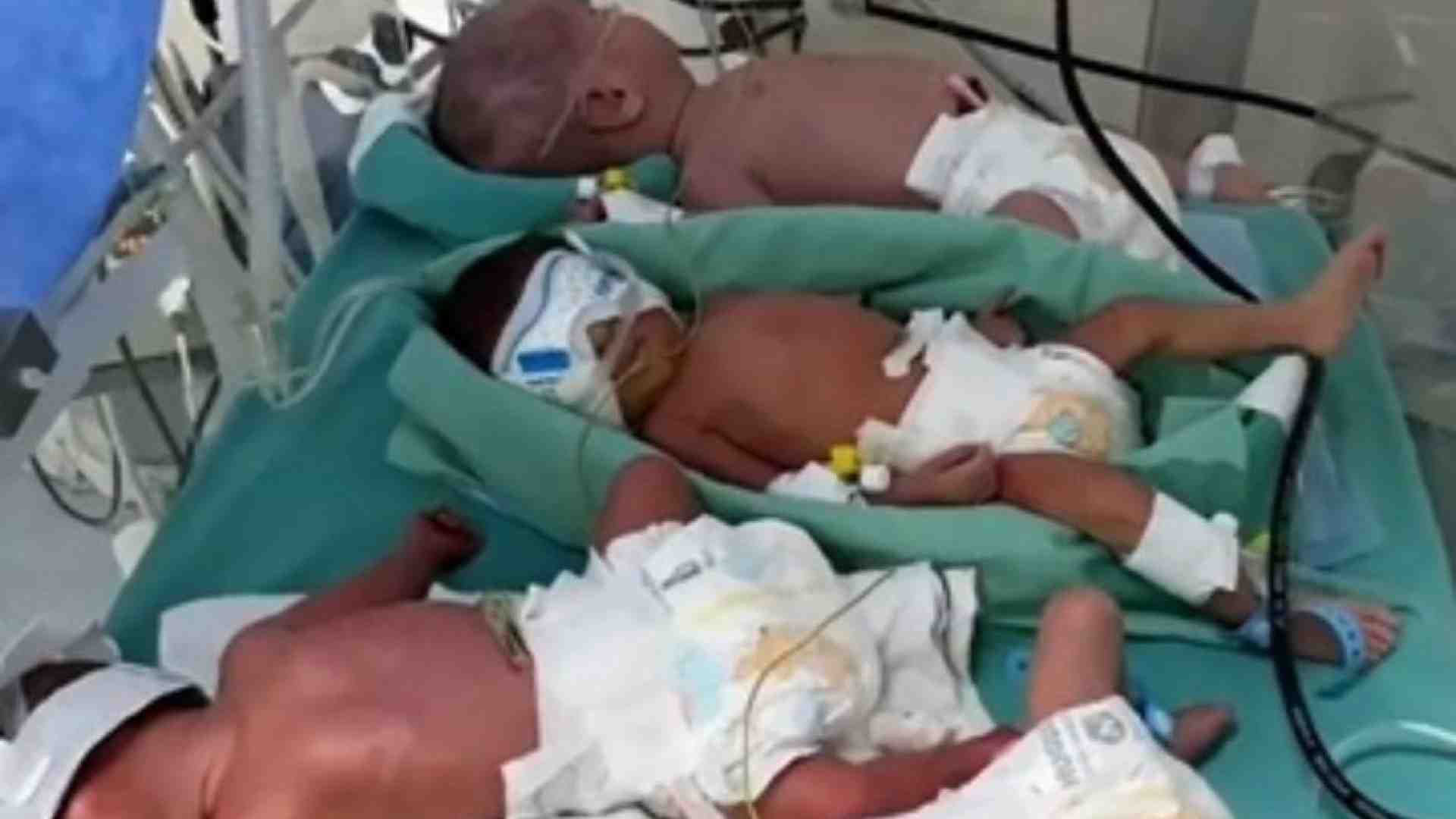 Immagine di I neonati di Gaza, stipati in un'unica incubatrice