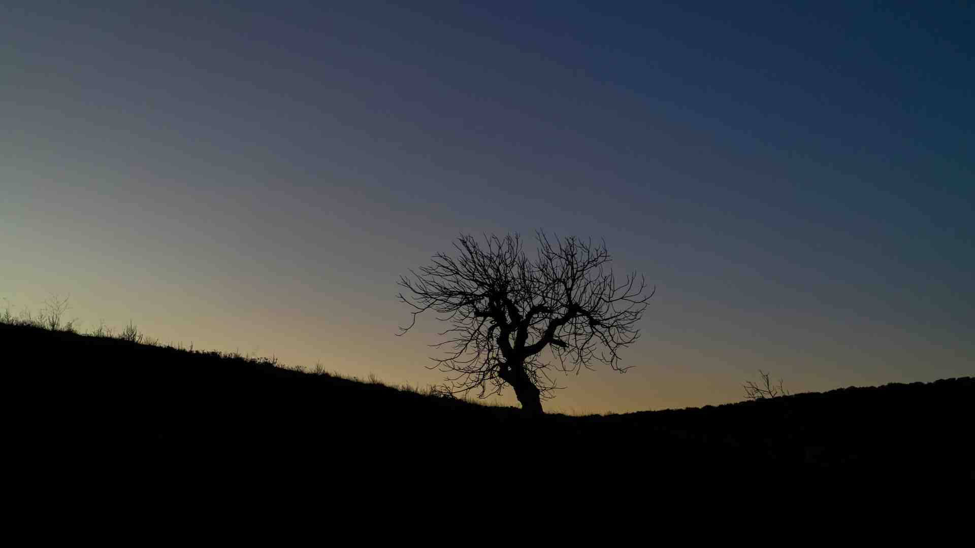 Immagine di Tre vite, due guerre, le impiccagioni. Come a volersi staccare dalla terra
