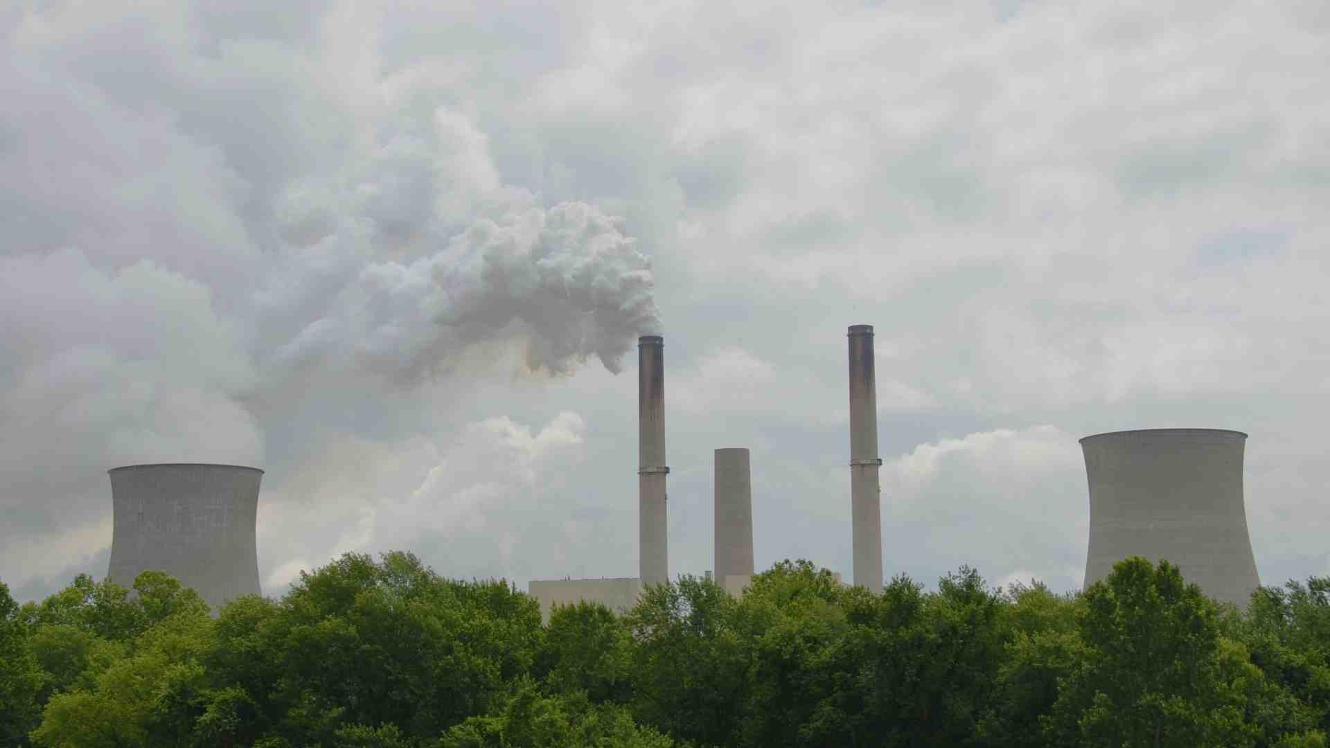 Immagine di Chiari esempi di danni ambientali causati dal solito bigottismo climatico