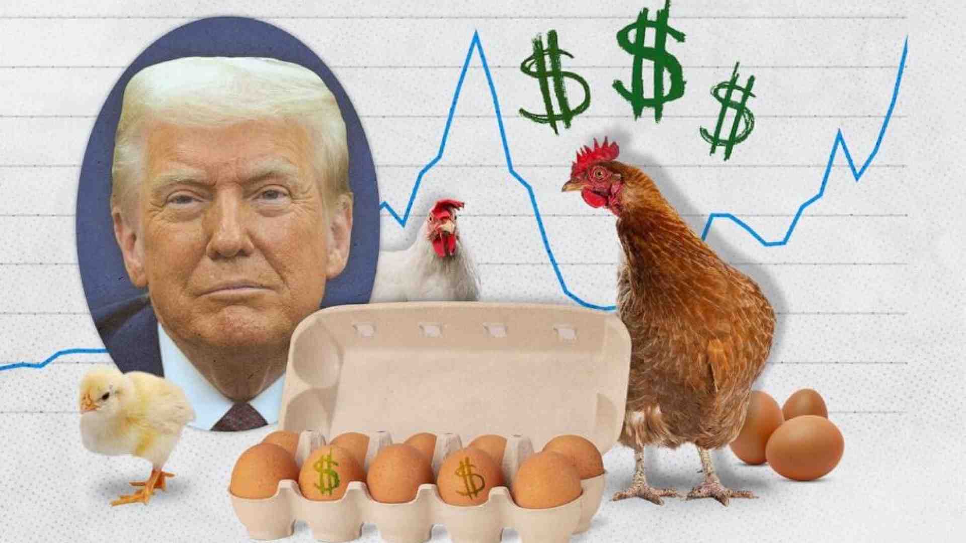 Immagine di L'Uovo di Trump torna a far litigare l'America