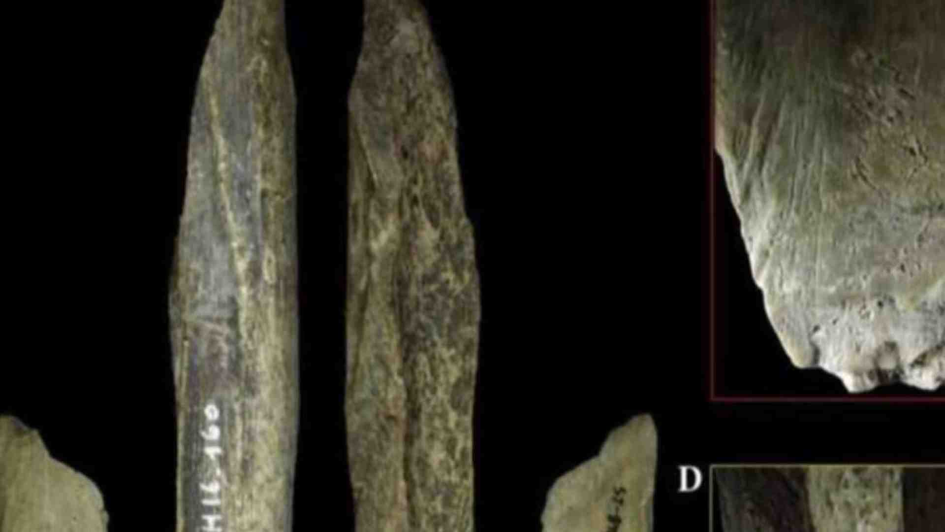 Immagine di Scoperto in una grotta belga il coltellino svizzero dei Neanderthal