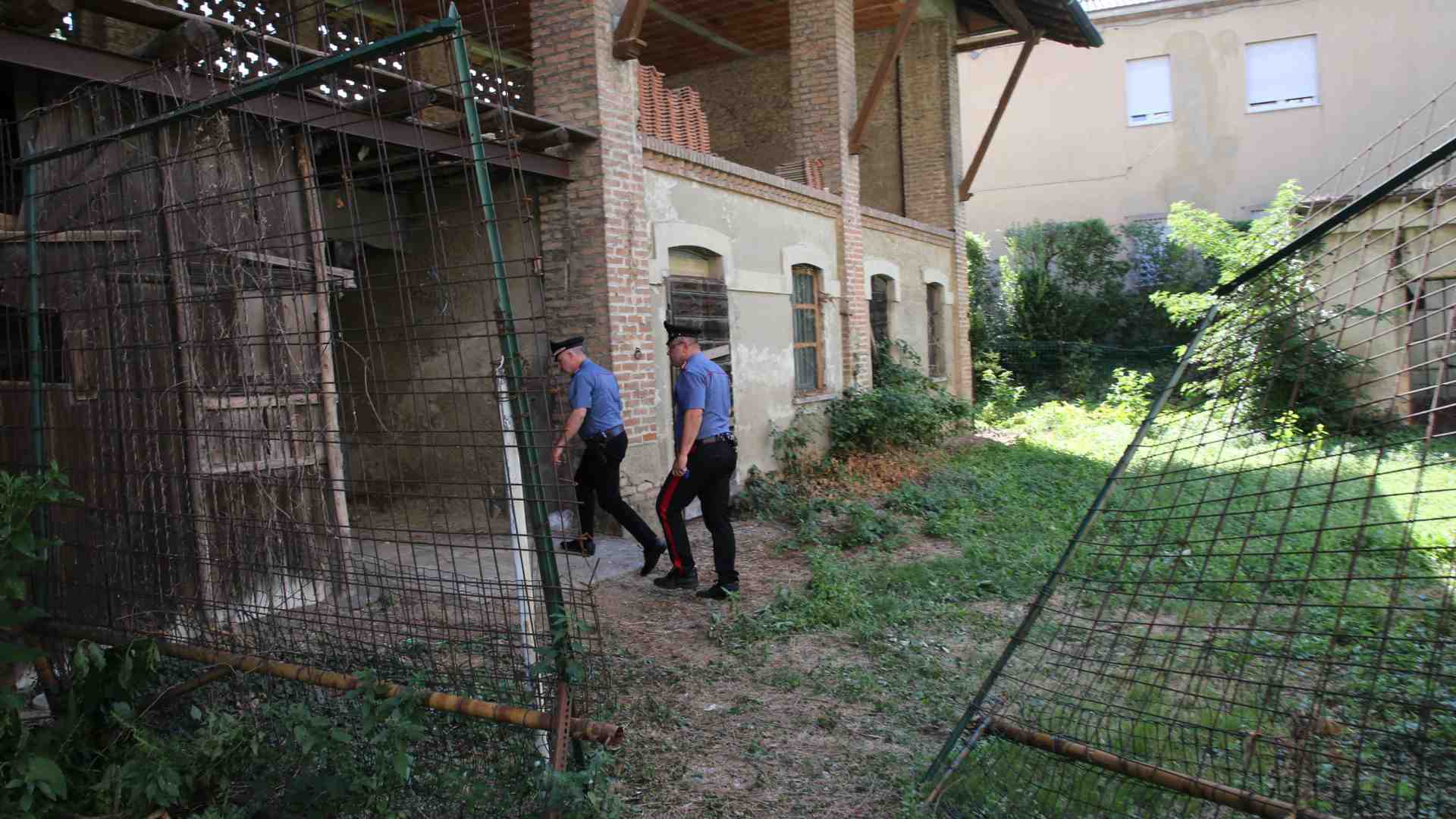 Immagine di Geraldine, Ramona, Raisa: le donne continuano ad essere uccise