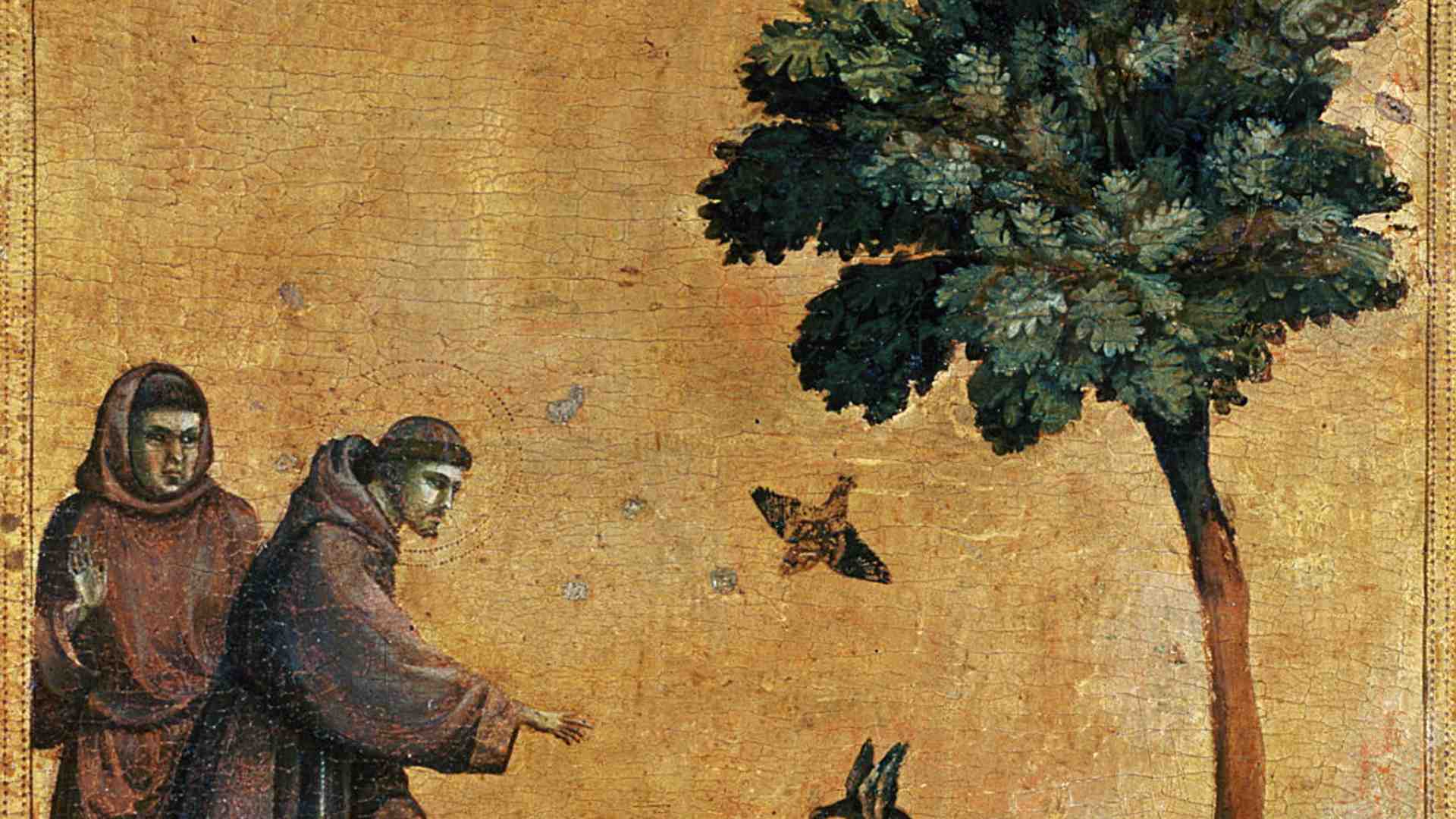 Immagine di Gli 800 anni del Cantico delle Creature sono un manifesto per l'oggi
