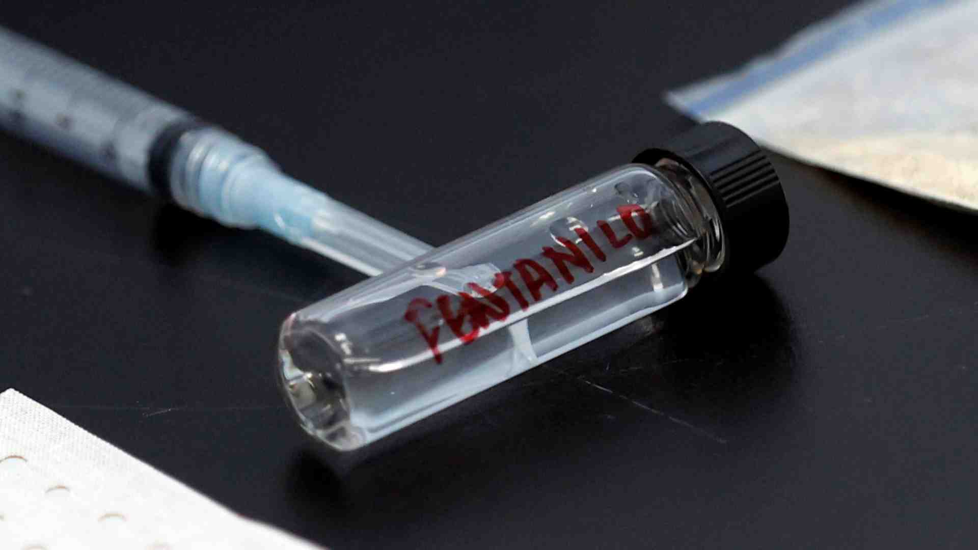 Immagine di «Così il Fentanyl è finito nelle mani della 'ndrangheta»