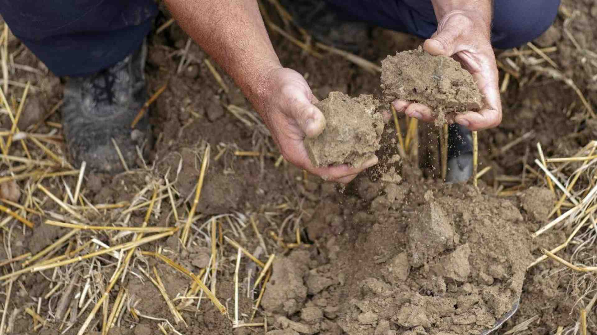 Immagine di È l'Overshoot day: abbiamo consumato tutte le risorse naturali dell'anno