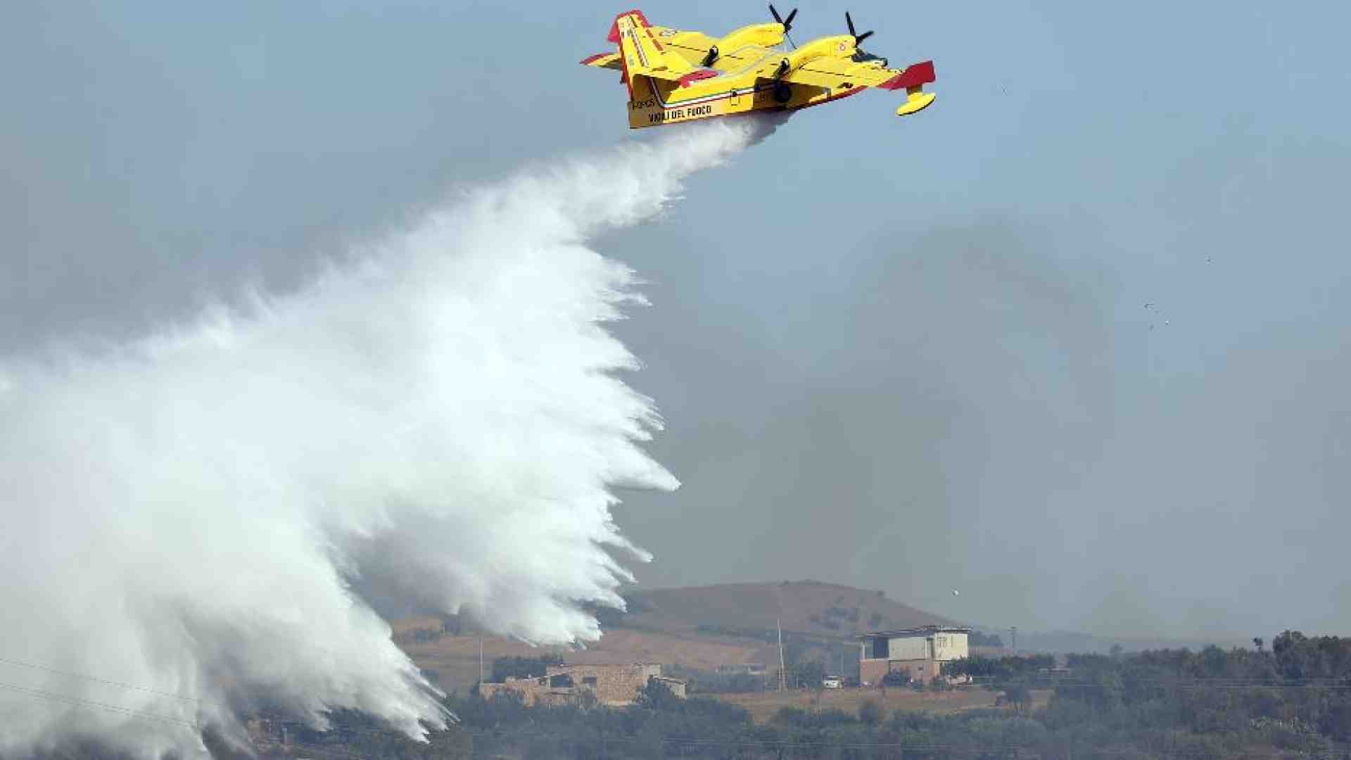 Immagine di Incendi, l'allarme di Legambiente: in fumo 31mila ettari
