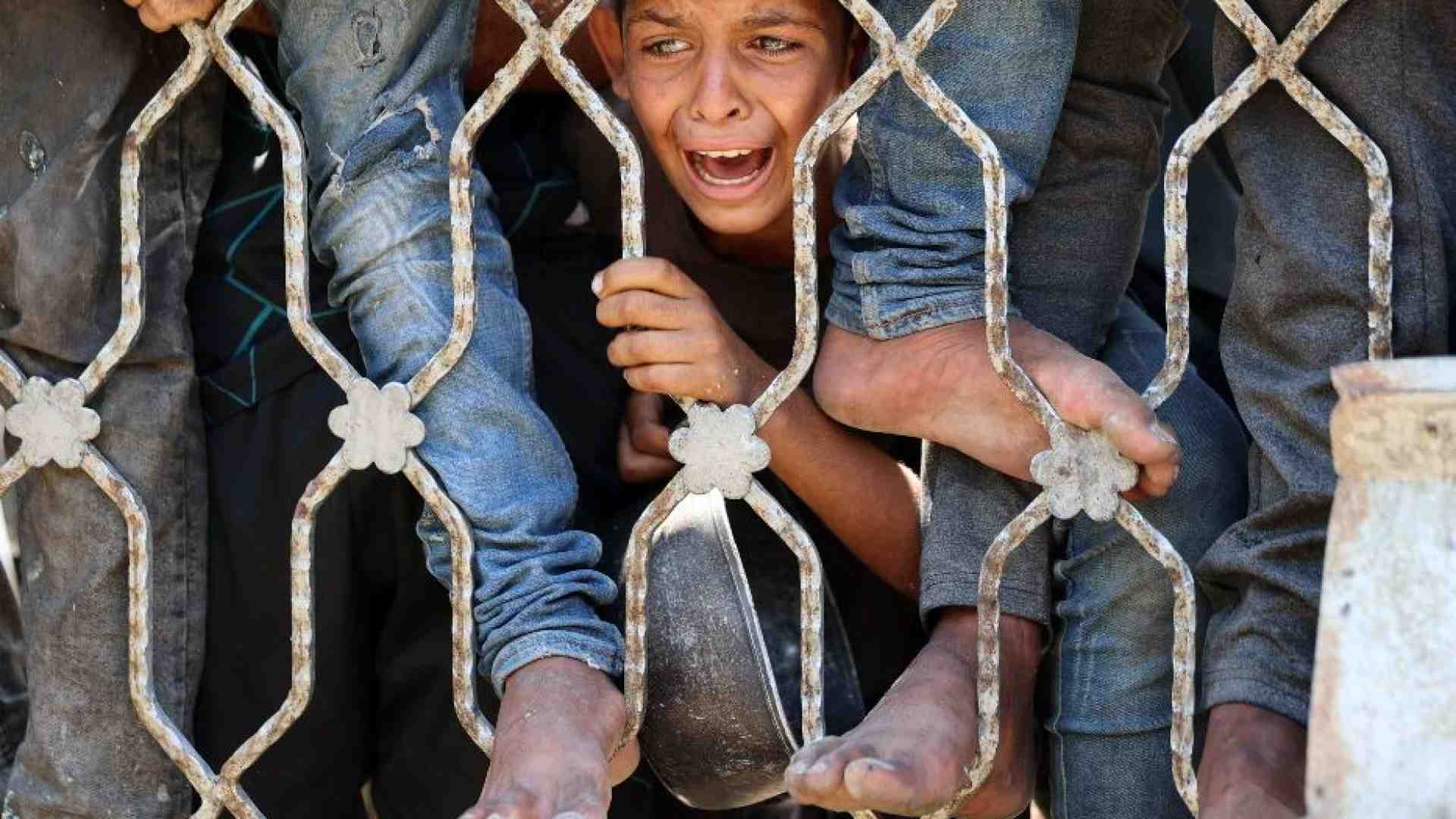 Immagine di Per la prima volta le Ong israeliane accusano Israele di genocidio