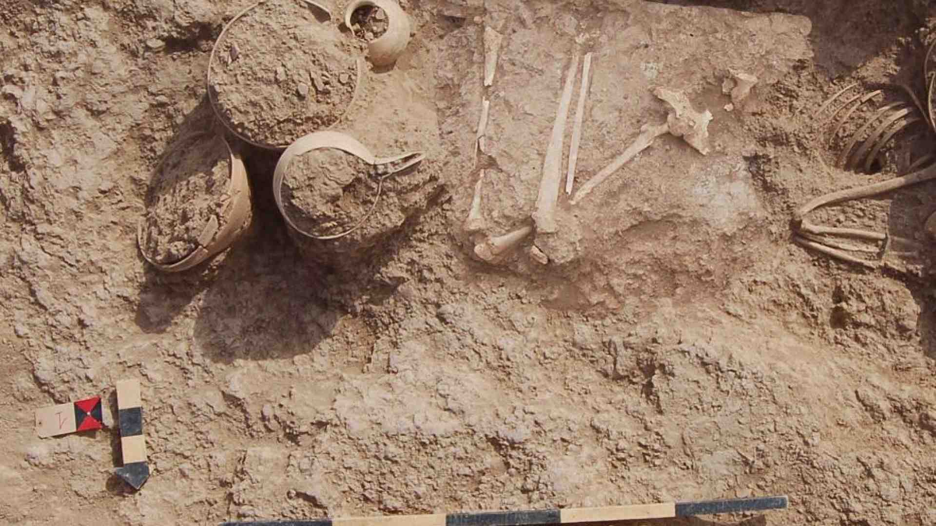 Immagine di Nel cuore del deserto iraniano il mistero della principessa del Khorasan