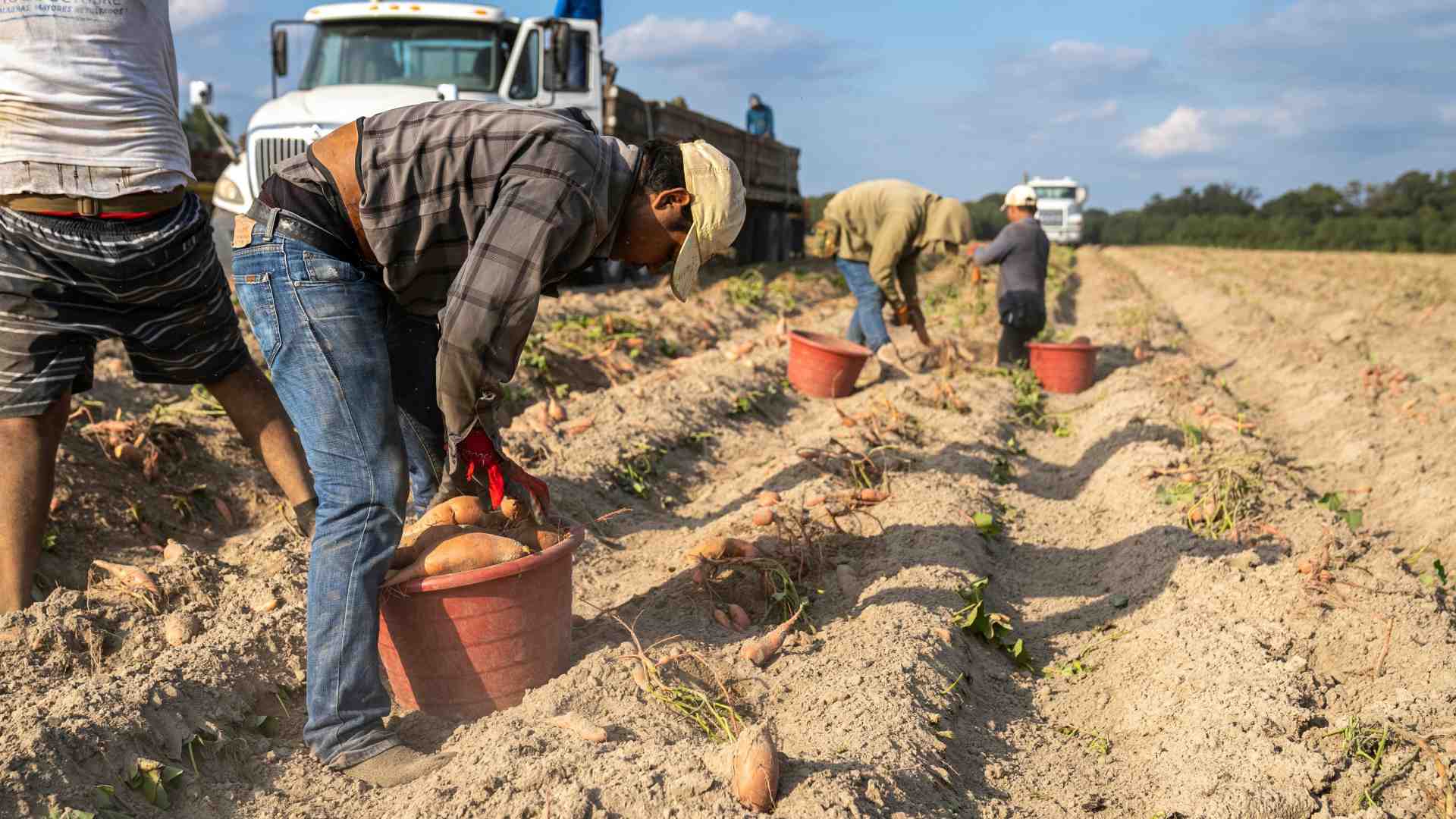 Immagine di Blitz fallito del governo per allungare i contratti a termine: misura ritirata
