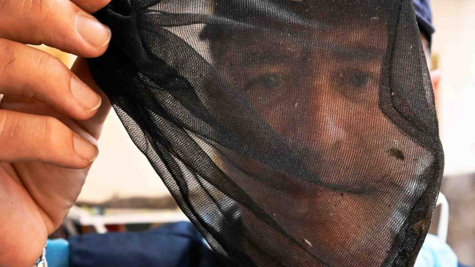 Immagine di Virus West Nile, i morti sono nove. Come si manifesta e quando è pericoloso