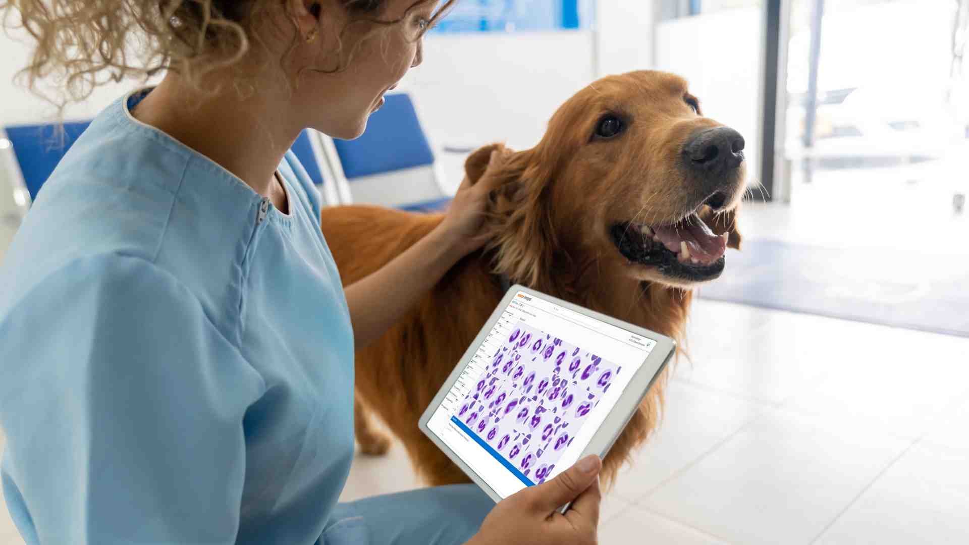 Immagine di Veterinari, la sfida dell'innovazione