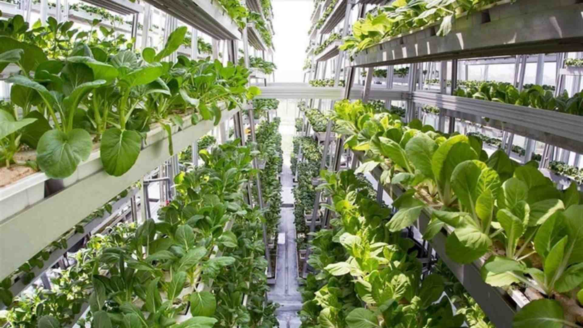 Immagine di Nel 2024 ha generato un valore pari a 426,8 miliardi di euro
