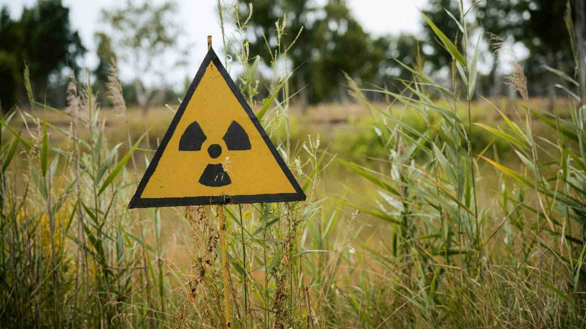Immagine di Il terrore sottile dell'uomo mutante in un mondo contaminato