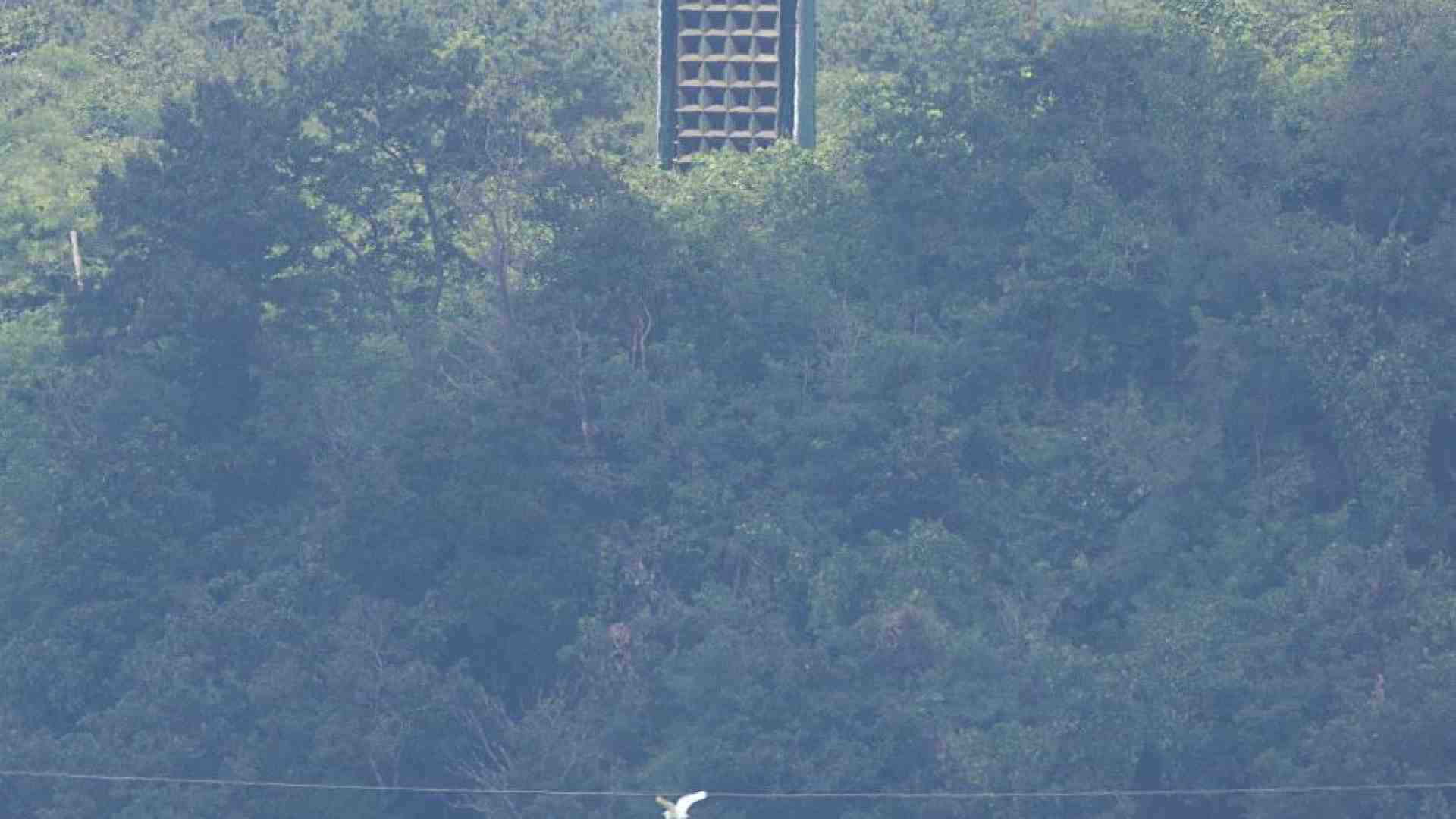 Immagine di La "distensione dei decibel": Seul toglie gli altoparlanti anti-Pyongyang
