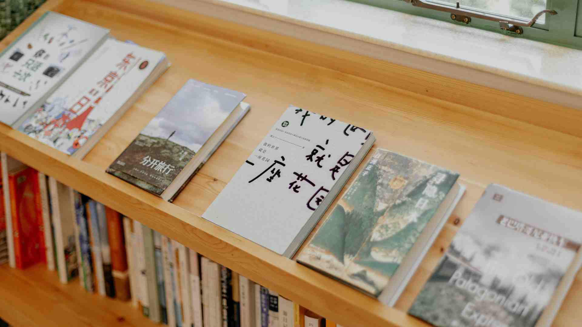 Immagine di Voci femminili (e femministe) della letteratura asiatica. Una nuova Irlanda?