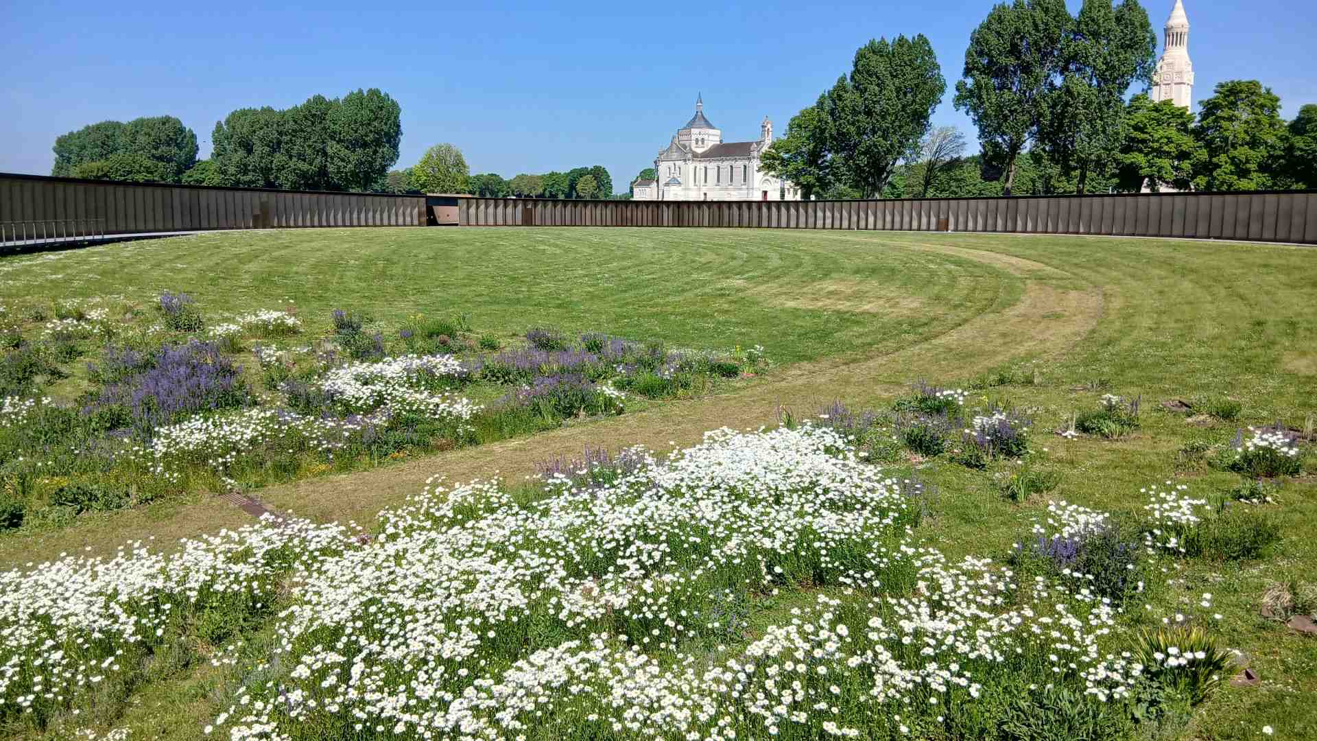 Immagine di Arras, la città "reduce di guerra" che ha costruito la sua speranza