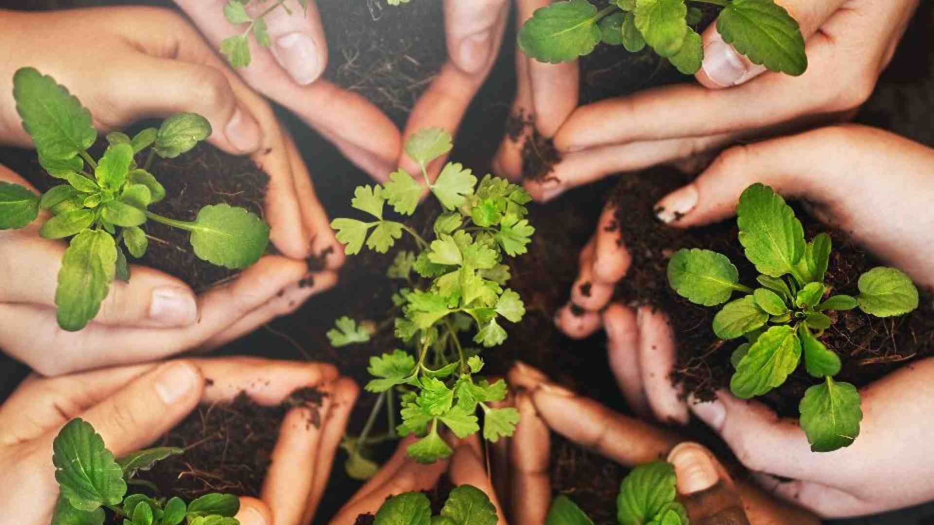 Immagine di Dialogo e ascolto, così la Bibbia insegna alla scienza a difendere il Creato
