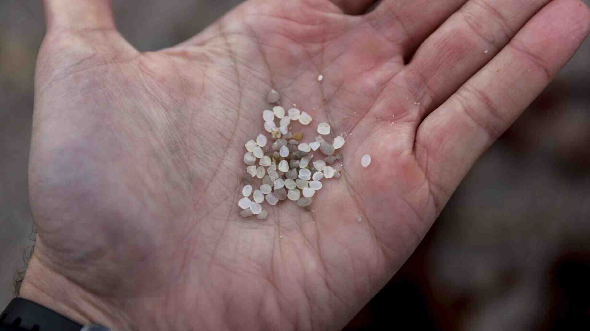 Immagine di Microplastiche dappertutto. Come rispondere a un’invasione silente