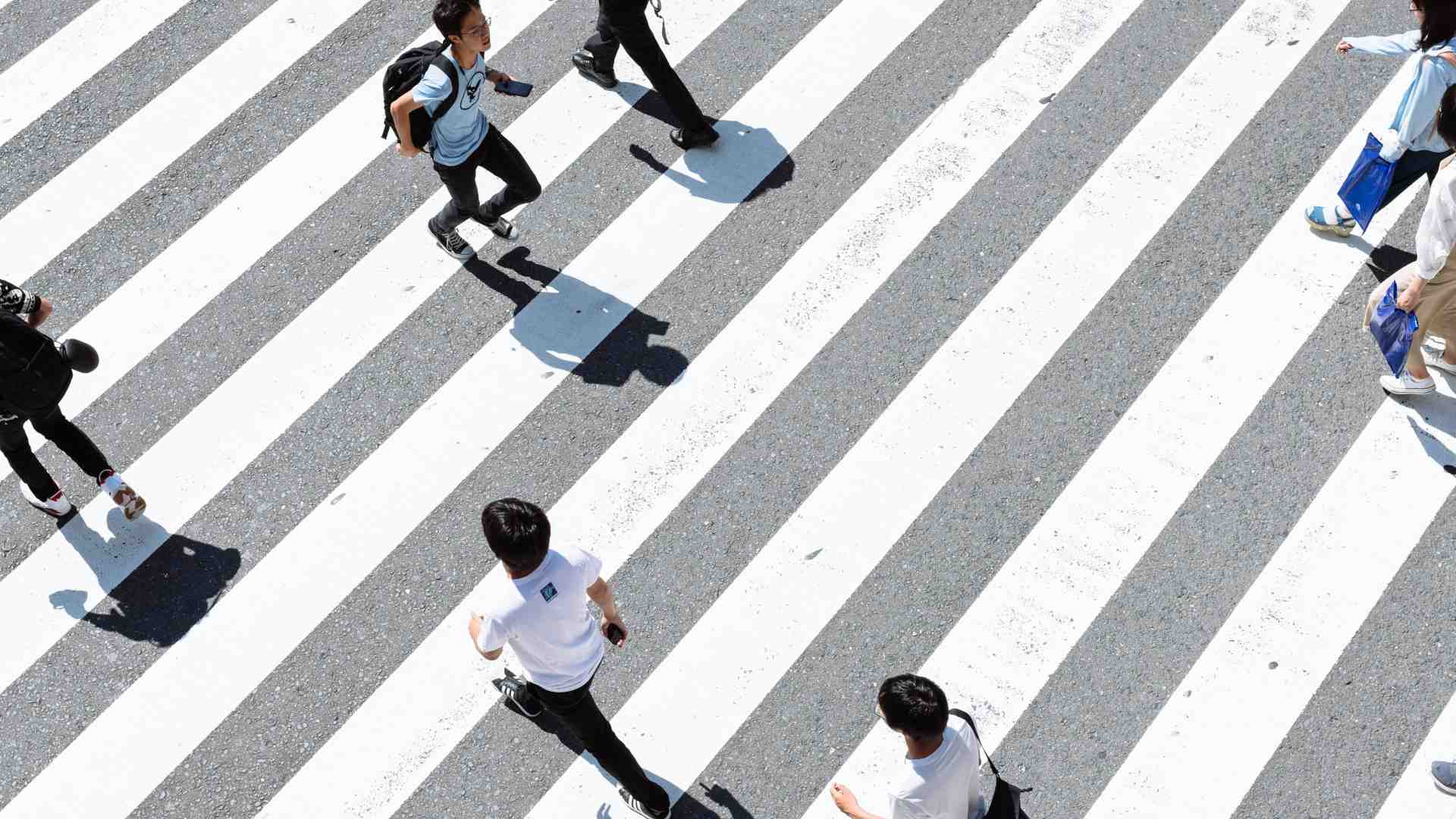 Immagine di Aridateci la normalità