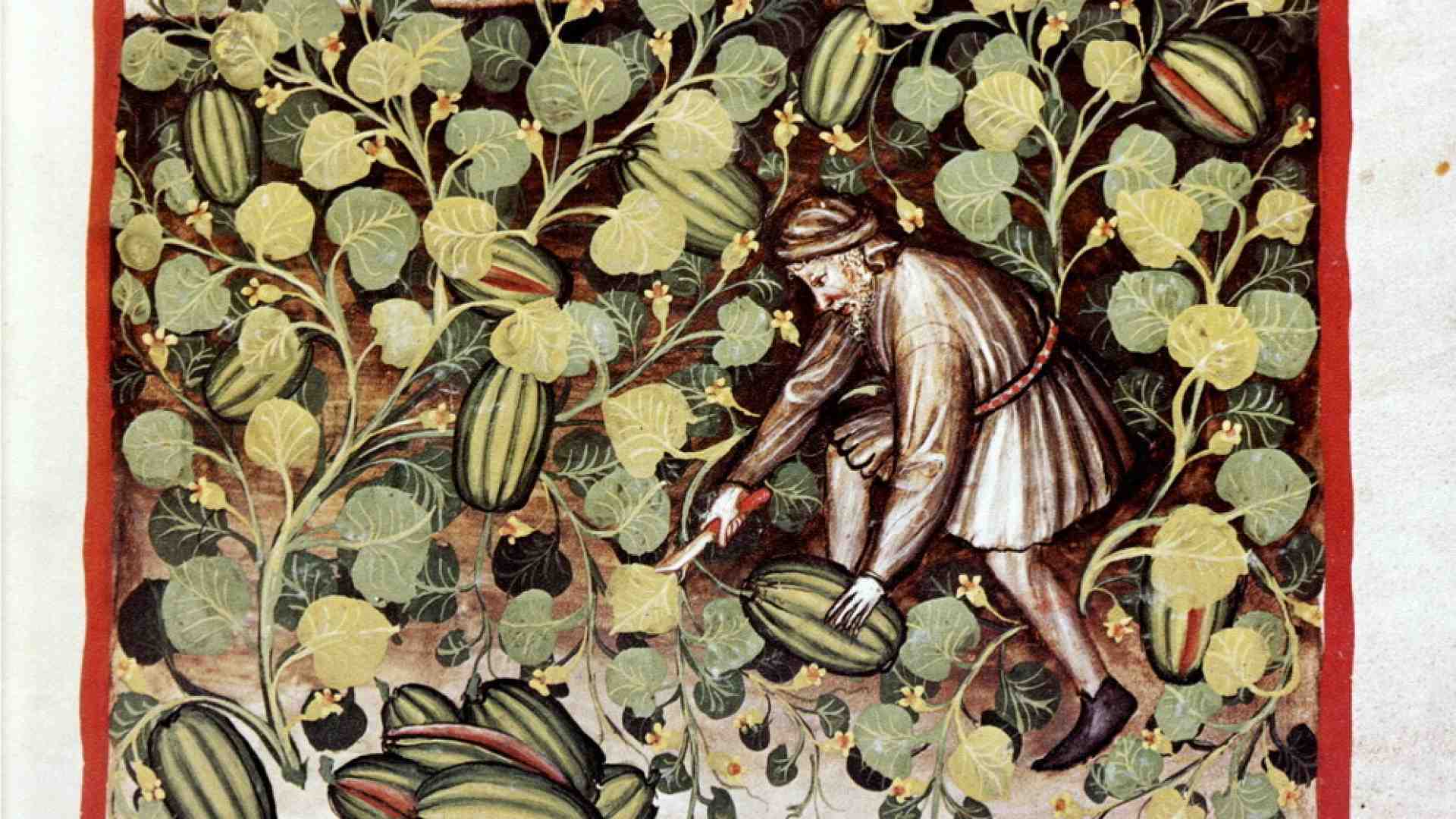 Immagine di Cocomeri armati. Storie e guerre del re dei frutti