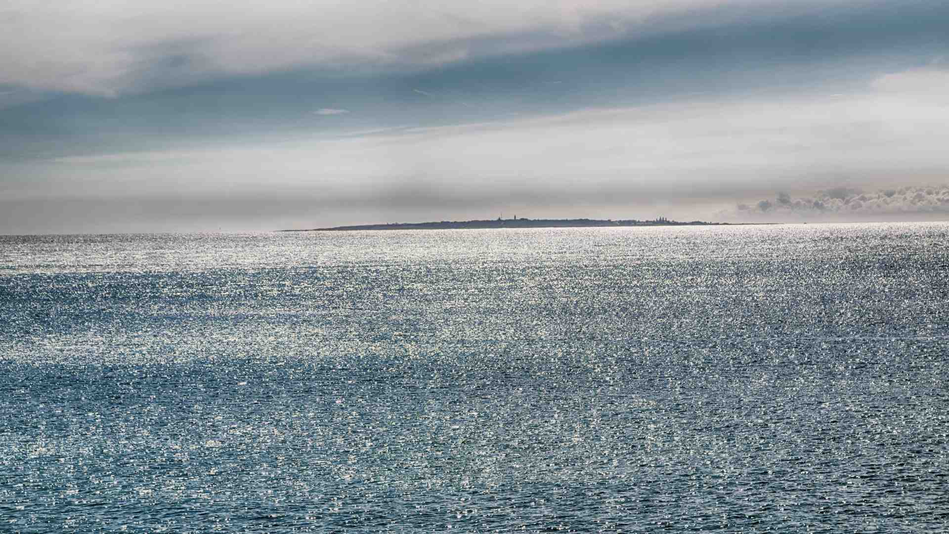 Immagine di Ecco cos'è quella follia disarmante che ci tiene in vita