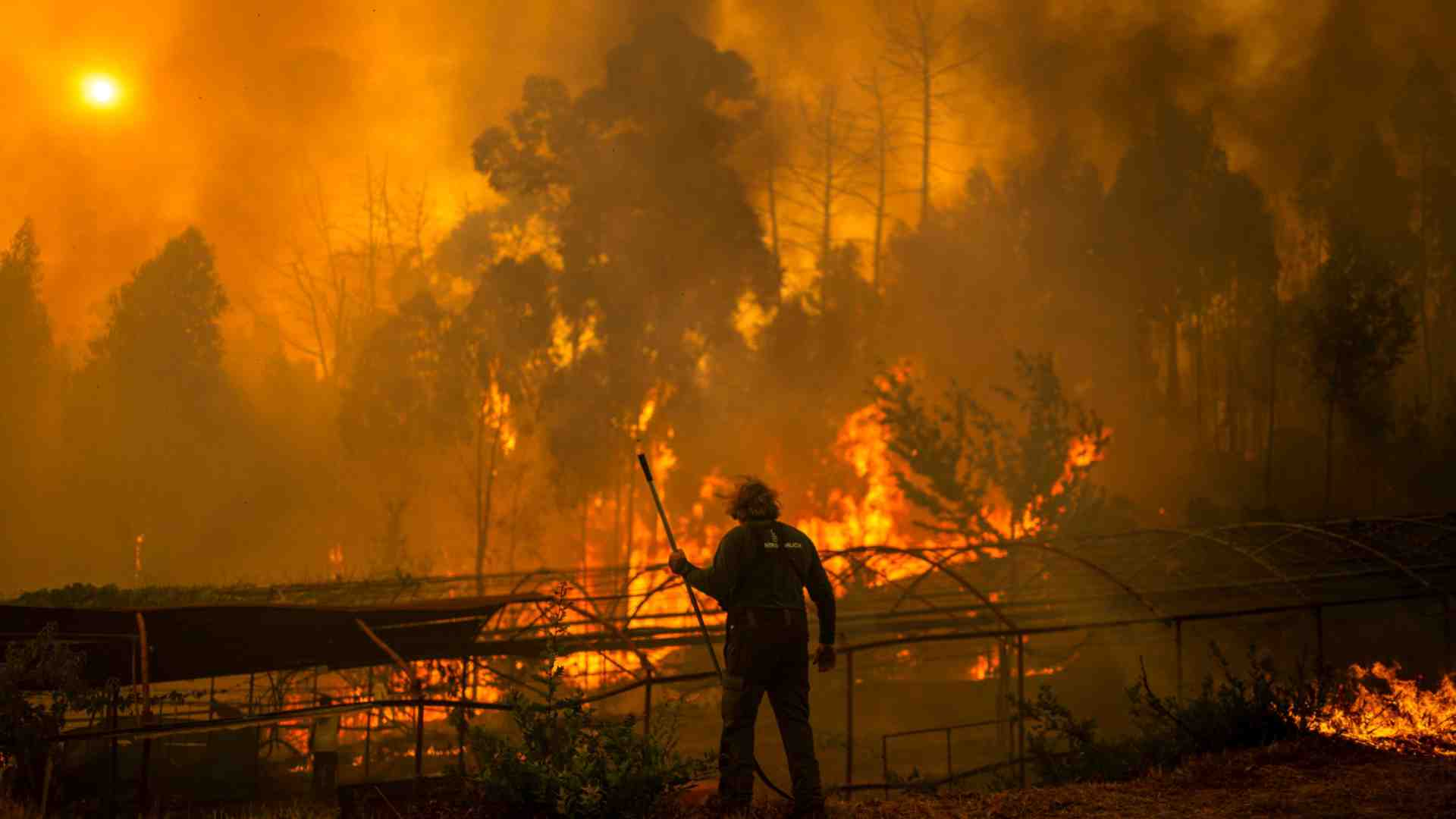 Immagine di Incendi in Spagna: i pellegrini in fuga dal Cammino di Santiago