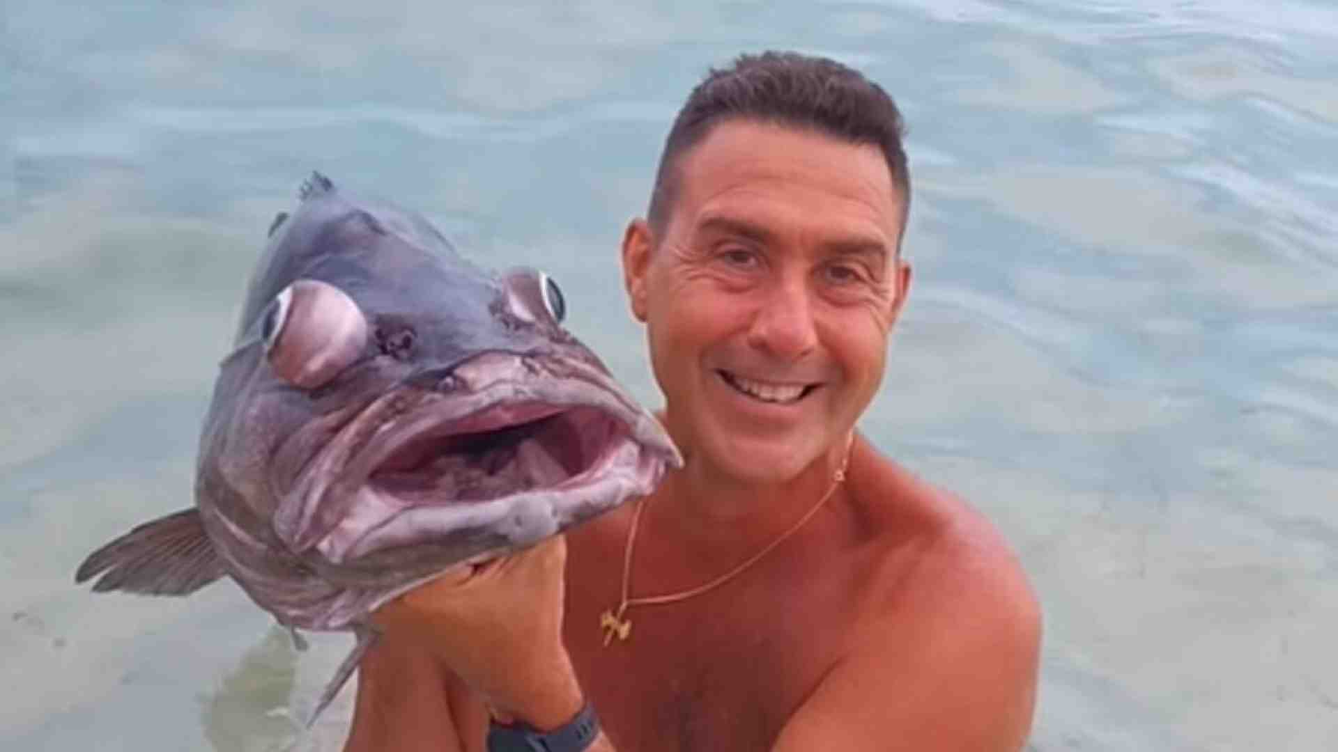 Immagine di Vannacci fa il Vannacci, gli animalisti ci cascano e lo denunciano per il video con la cernia