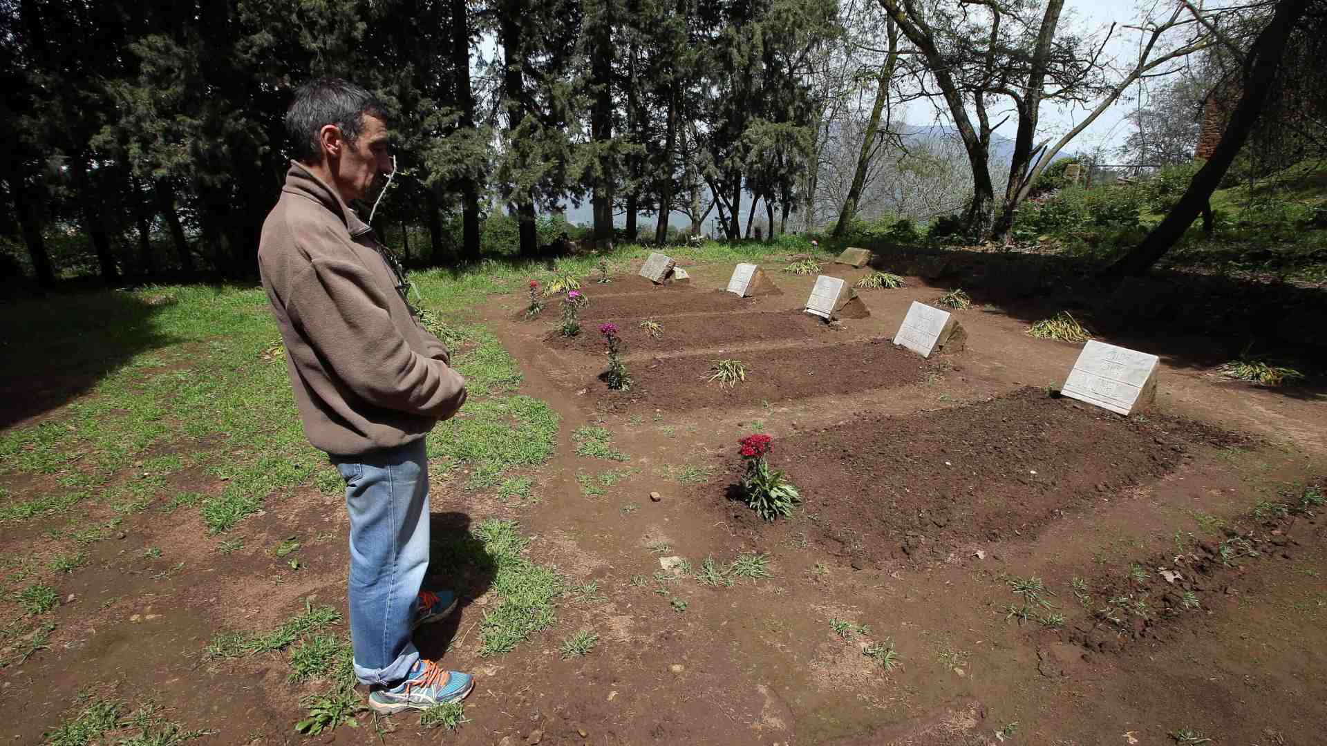 Immagine di Papa Leone XIV e la testimonianza dei martiri di Algeria