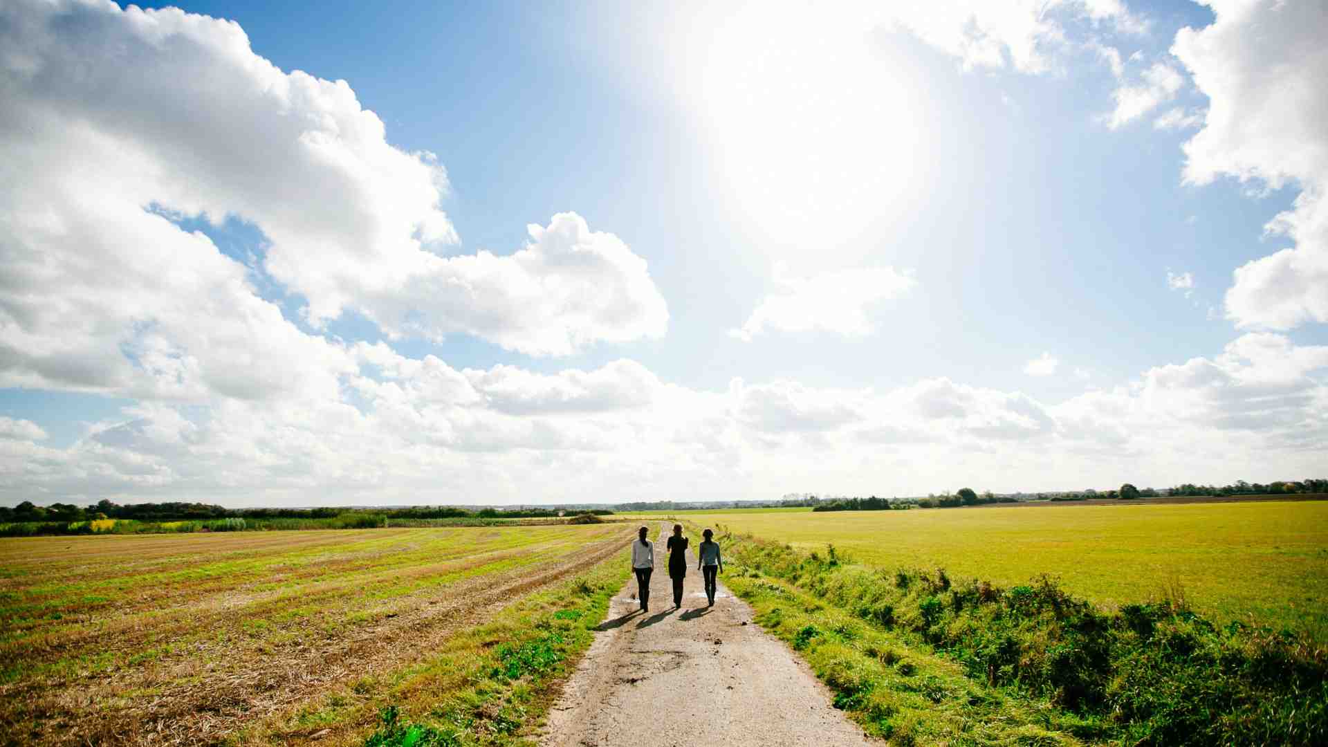 Immagine di L’inesauribile bellezza di ciò che è noto e familiare