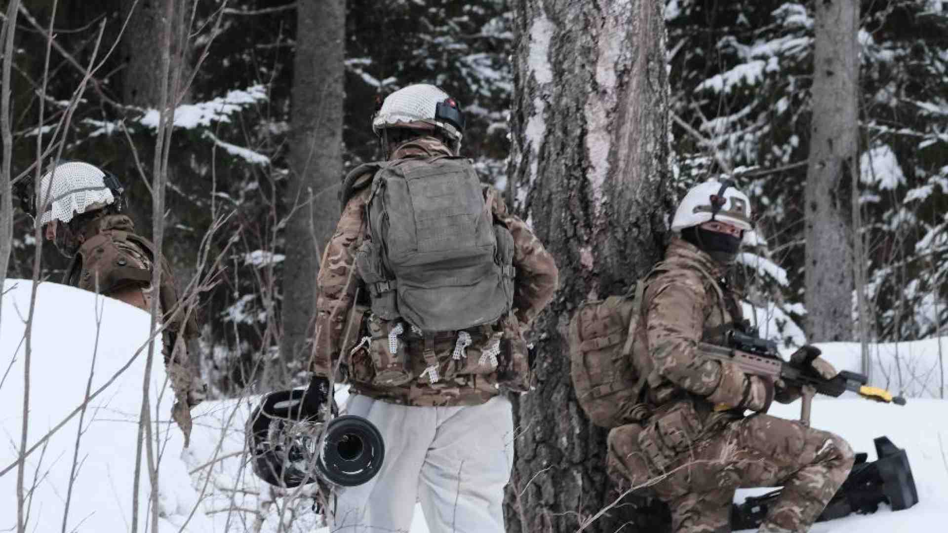Immagine di Sicurezza e banda larga: l'Estonia s'è liberata dalla Russia