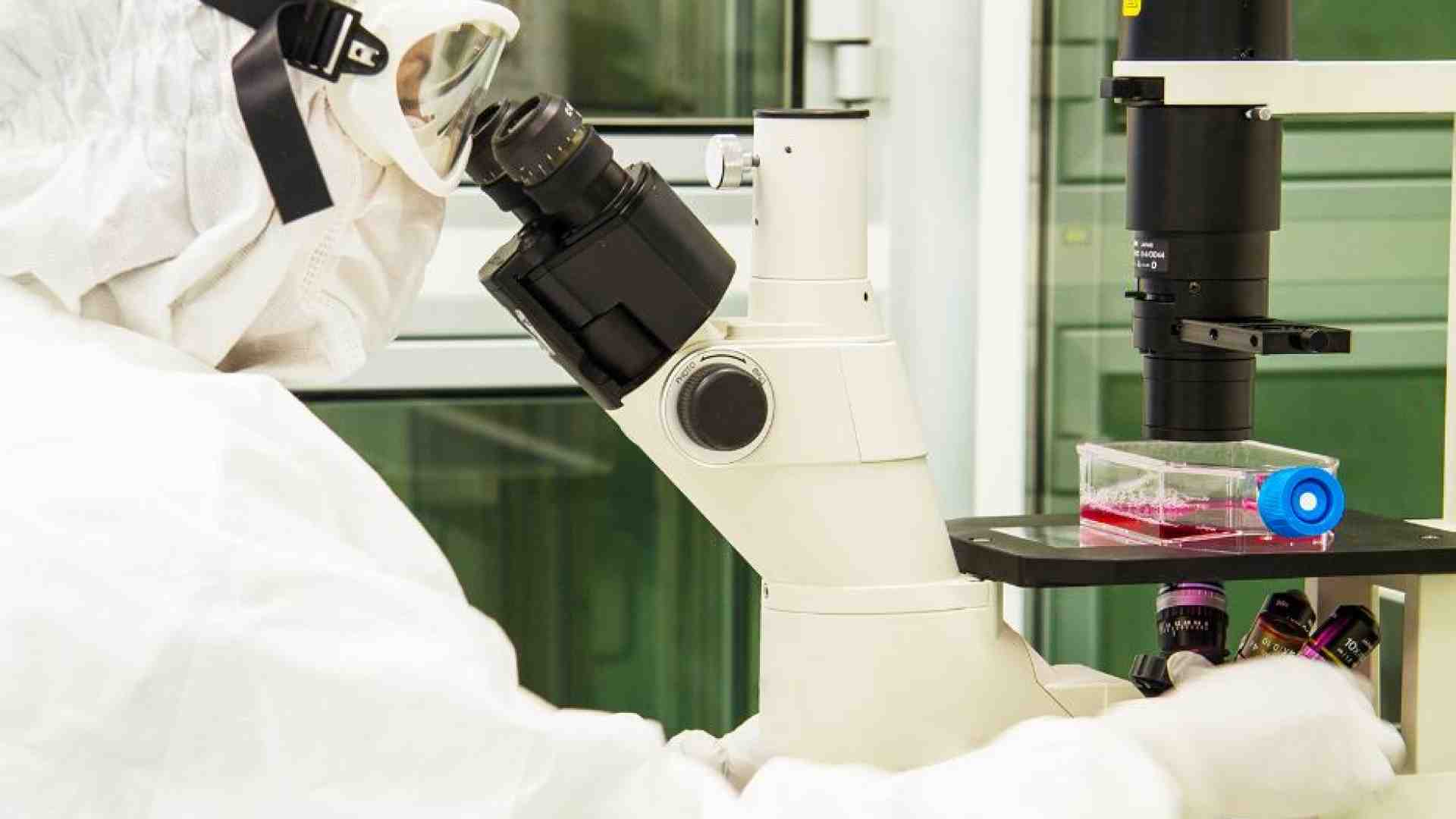 Immagine di Neuroblastoma, il successo delle cellule Car-T