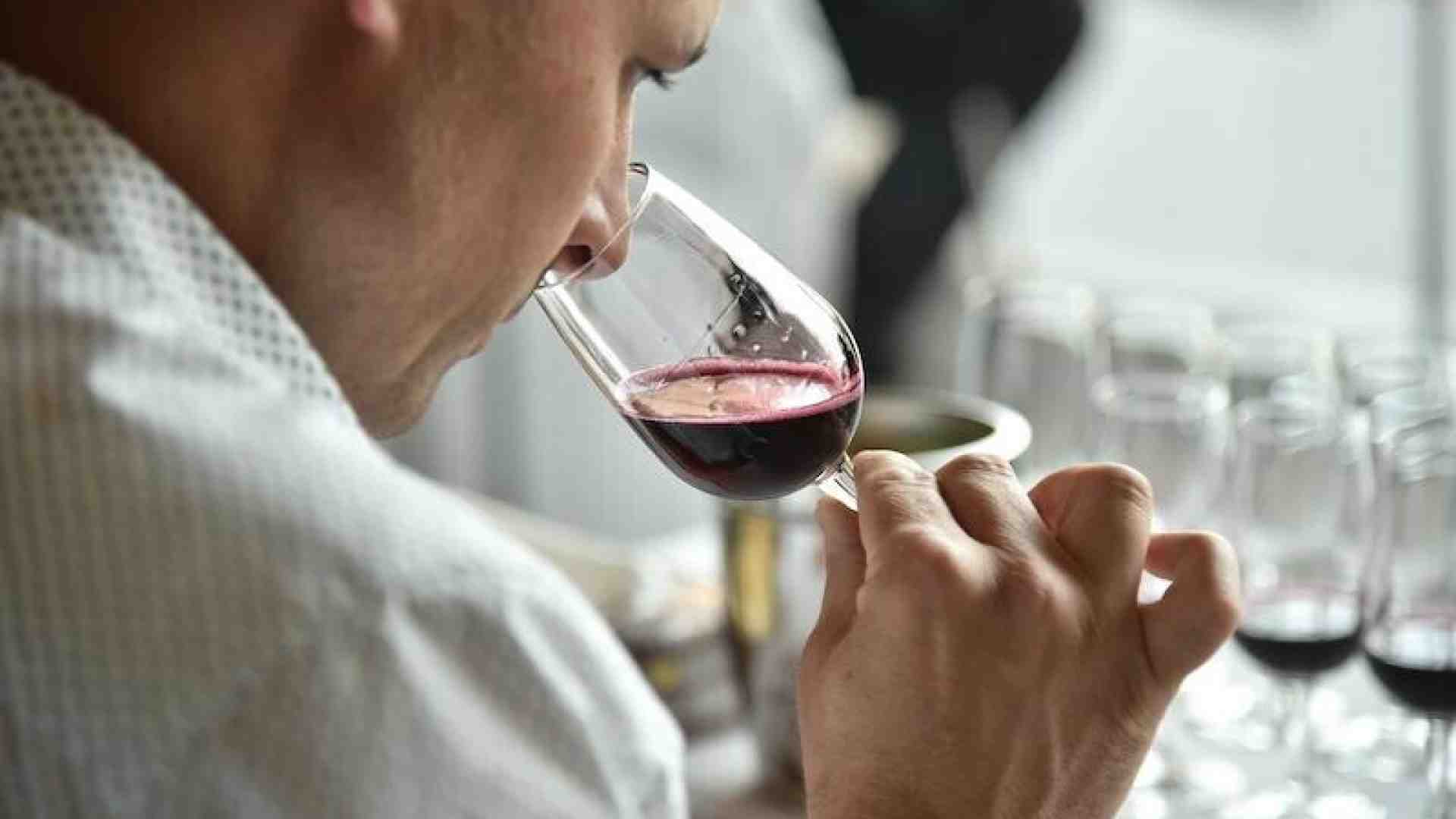 Immagine di Il Lambrusco Ancestrale che piace alla sinistra, unico nettare degno di me, conservatore solitario