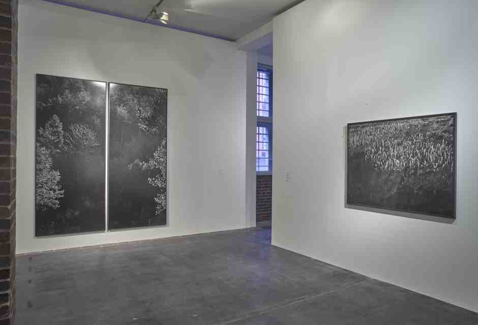A view of Awoiska van der Molen's photography art work seen during the 'Deutsche Boerse Photography Foundation Prize 2017 (foto Getty) <br />