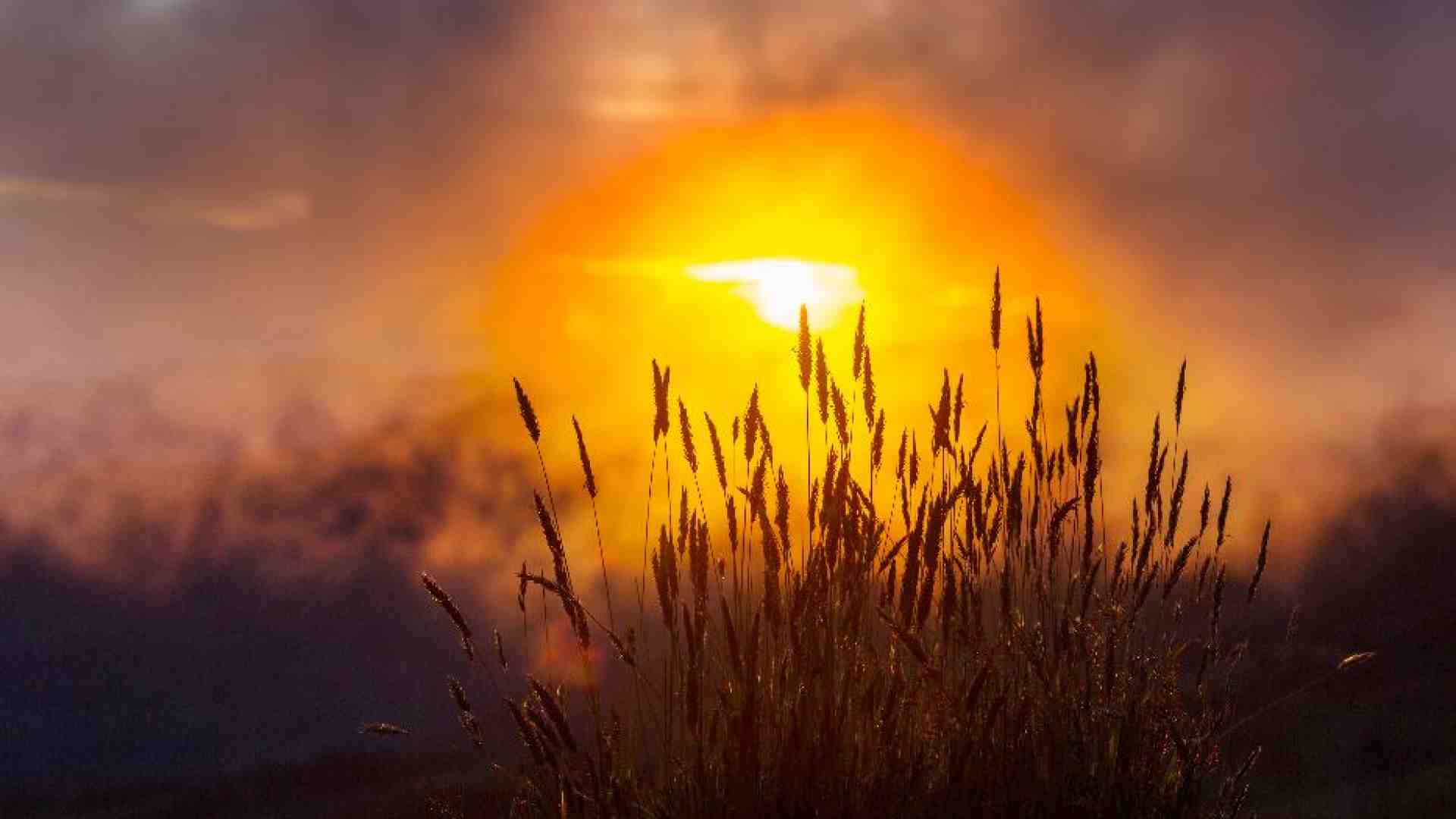 Immagine di Come celebrare la Giornata di preghiera per il Creato