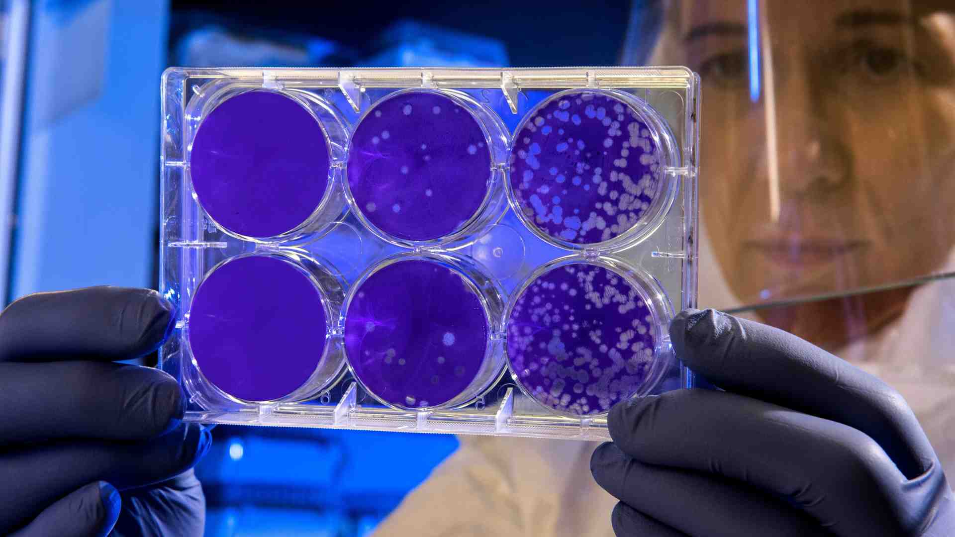 Immagine di Siamo fatti (anche) di virus