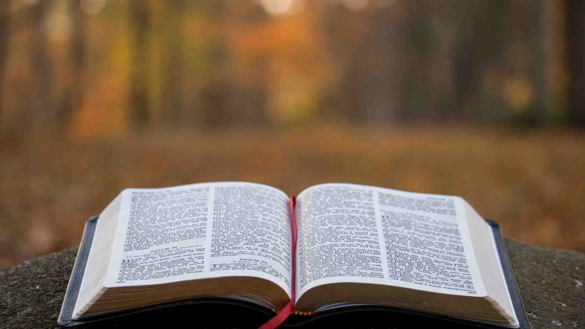 Immagine di Vivere secondo il libro più importante del mondo non è essere eccentrici