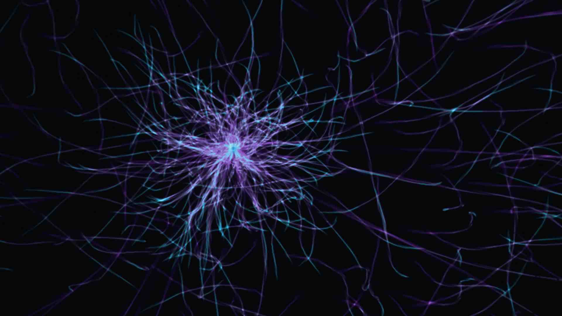 Immagine di Le possibili ragioni per cui si è evoluto l'autismo
