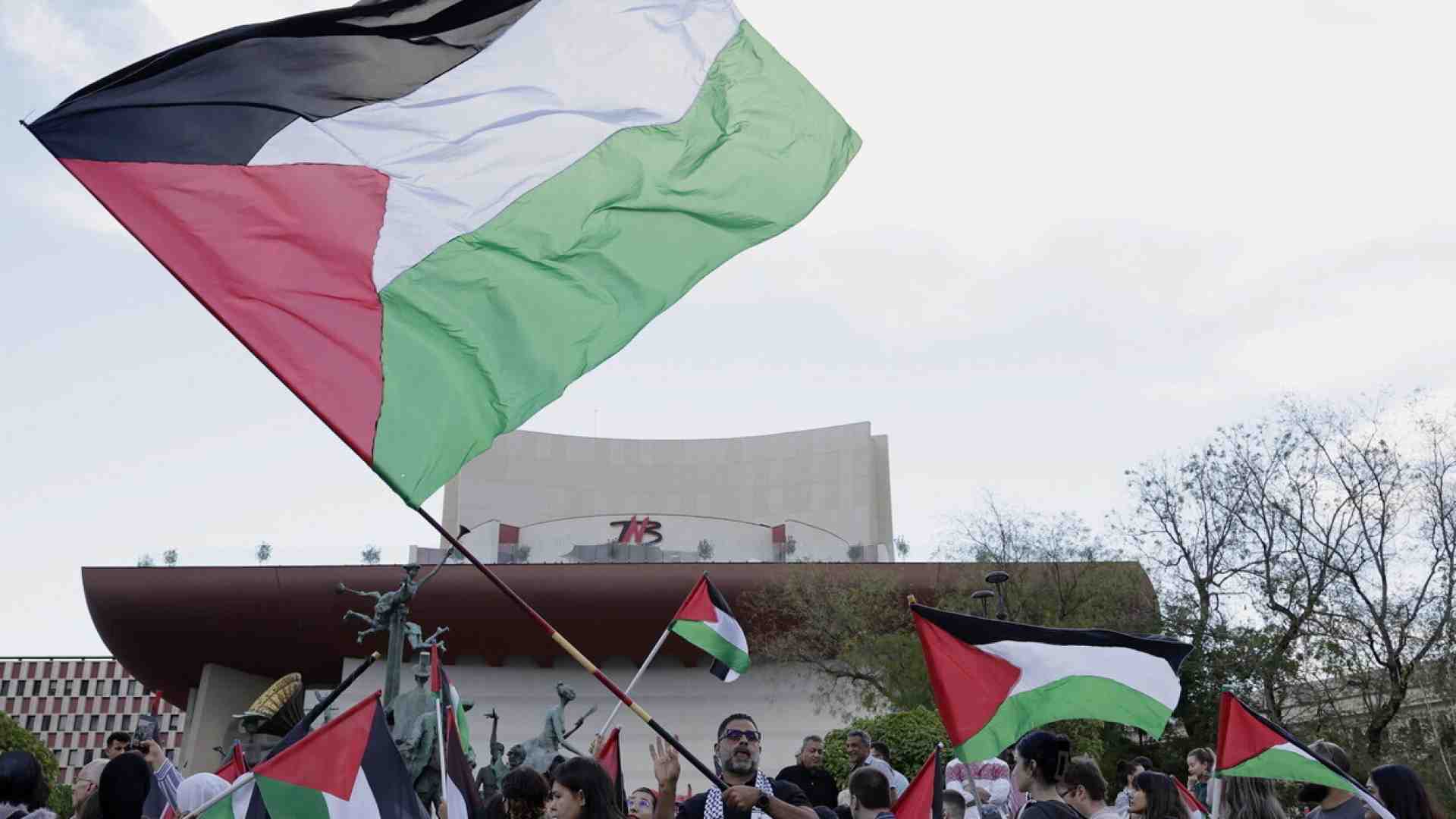 Immagine di La Palestina parallela dell’Onu