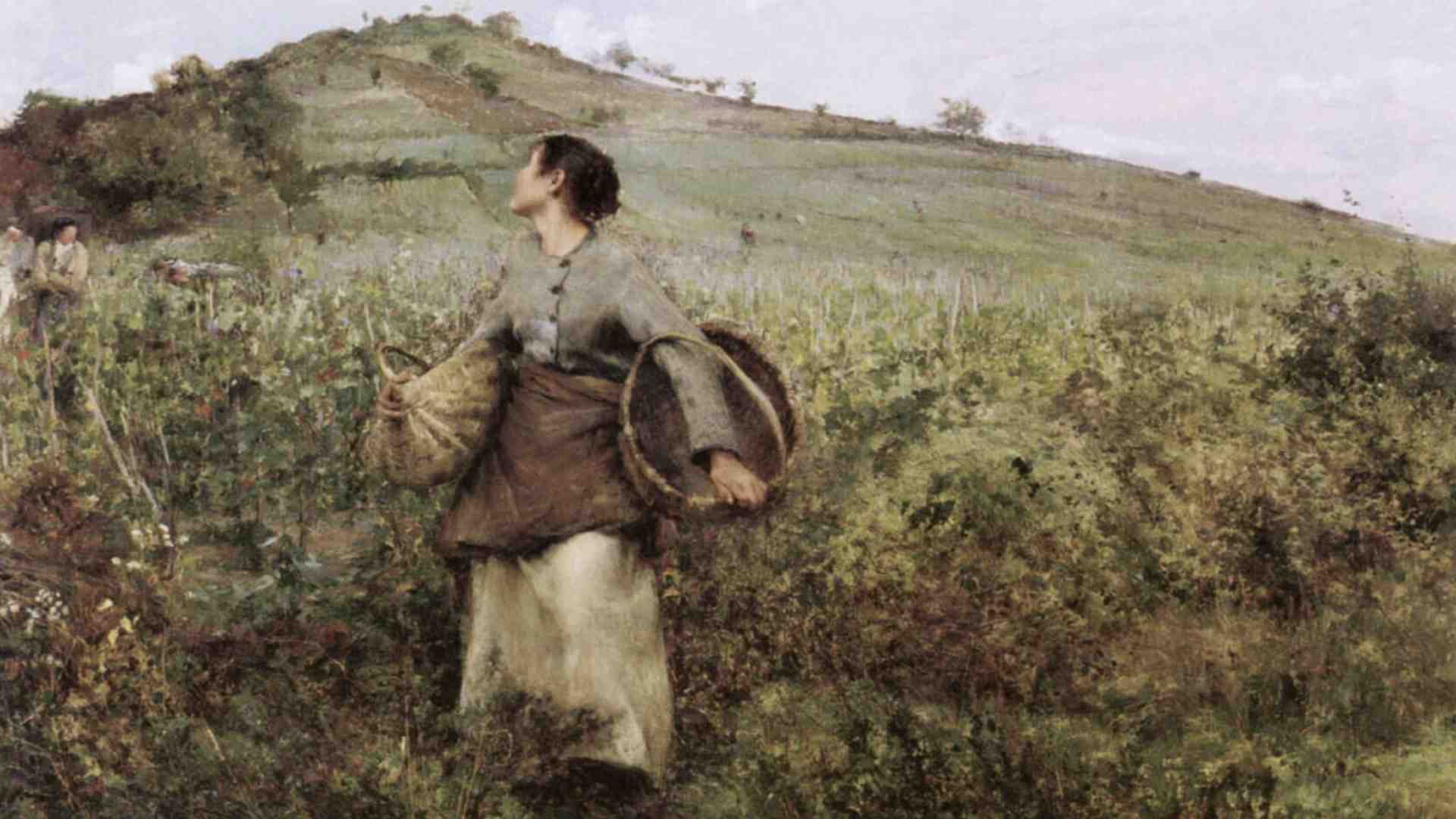 Immagine di Sabato e domenica nel Foglio. Cosa c'è negli inserti del fine settimana