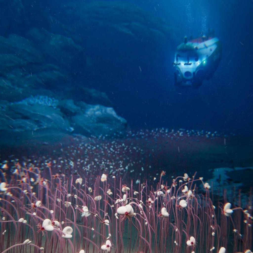 I ricercatori hanno creato questa immagine composita del loro sommergibile in una profonda fossa oceanica - Institute of Deep-sea Science and Engineering, CAS